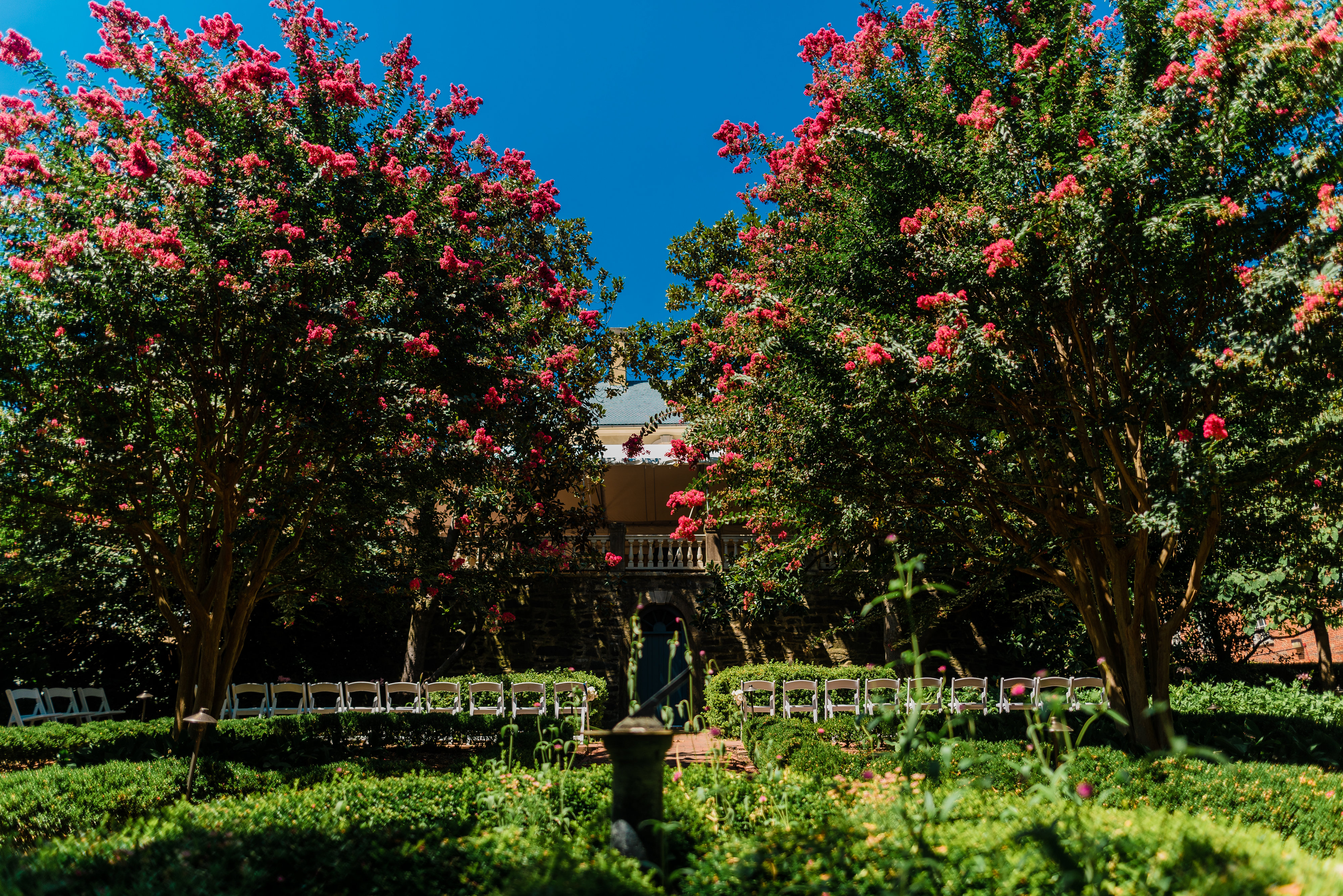 Carlyle Wedding garden view Carlyle Wedding garden view
