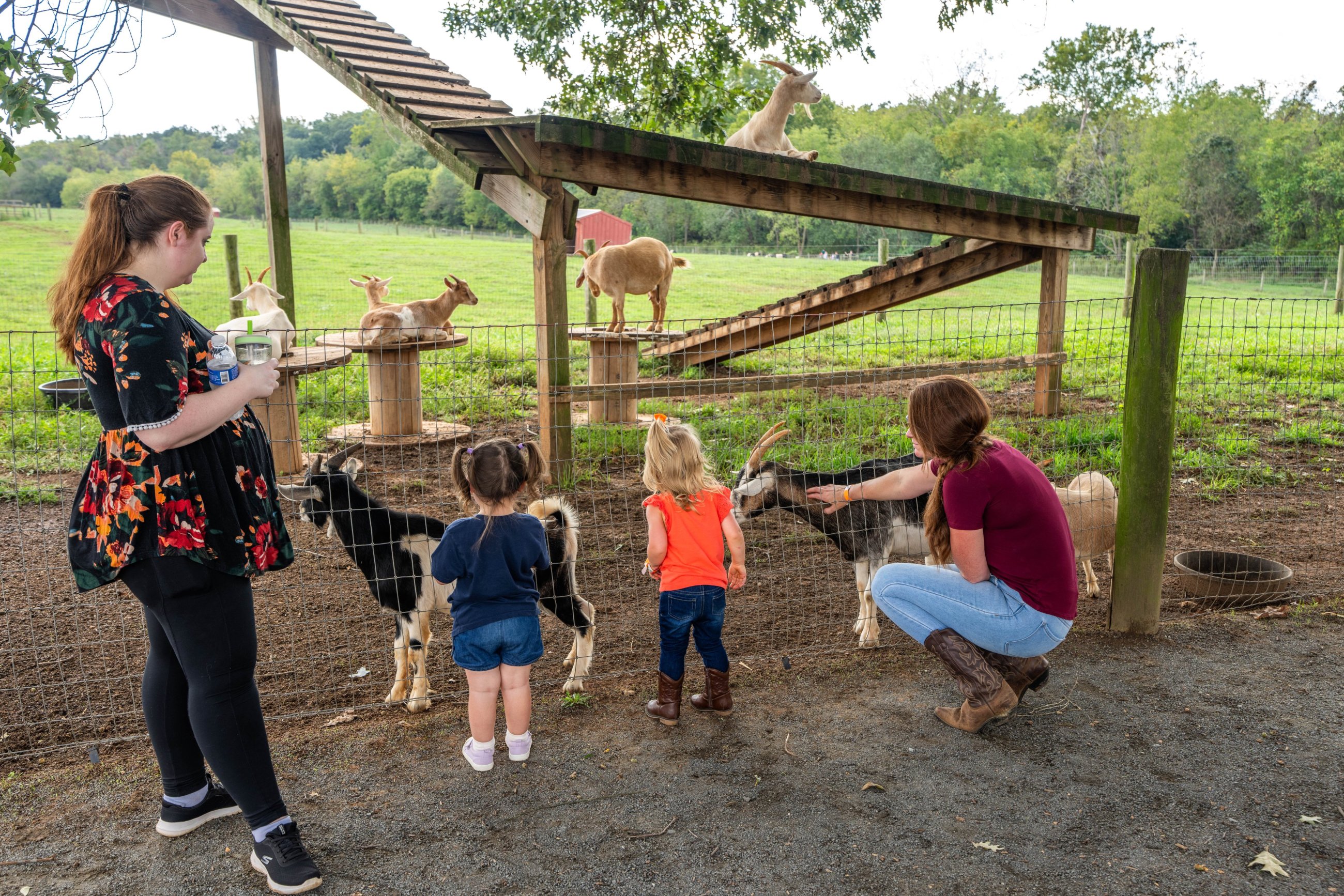 Children visiting farm animals at Temple Hall Farm Regional Park