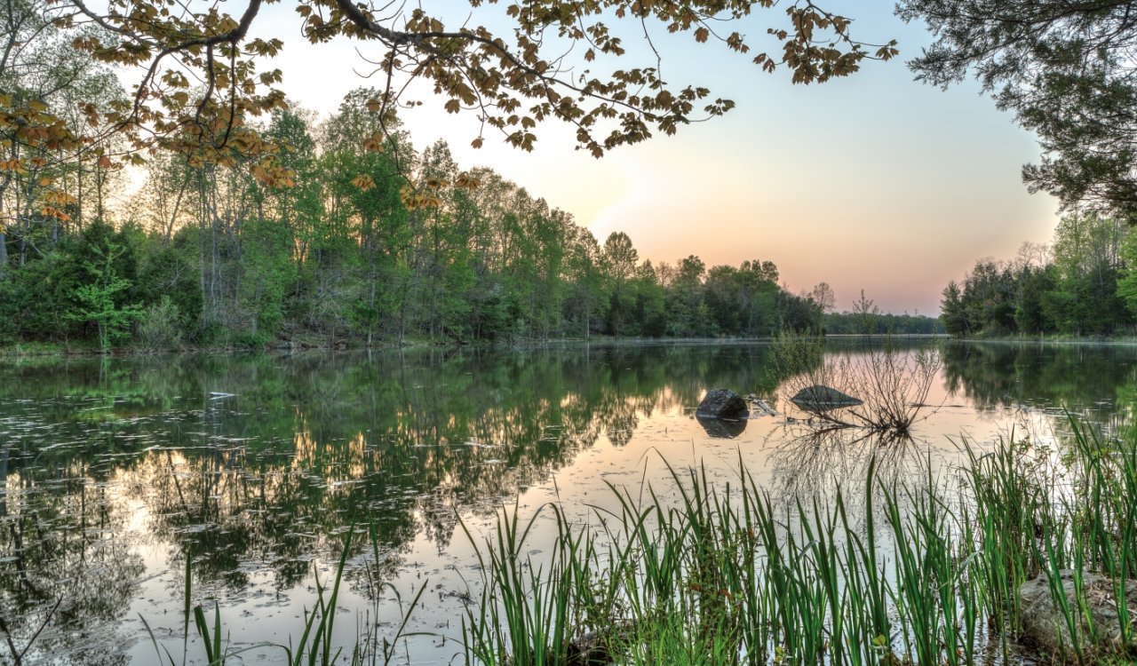 Beaverdam Reservoir Nova Parks