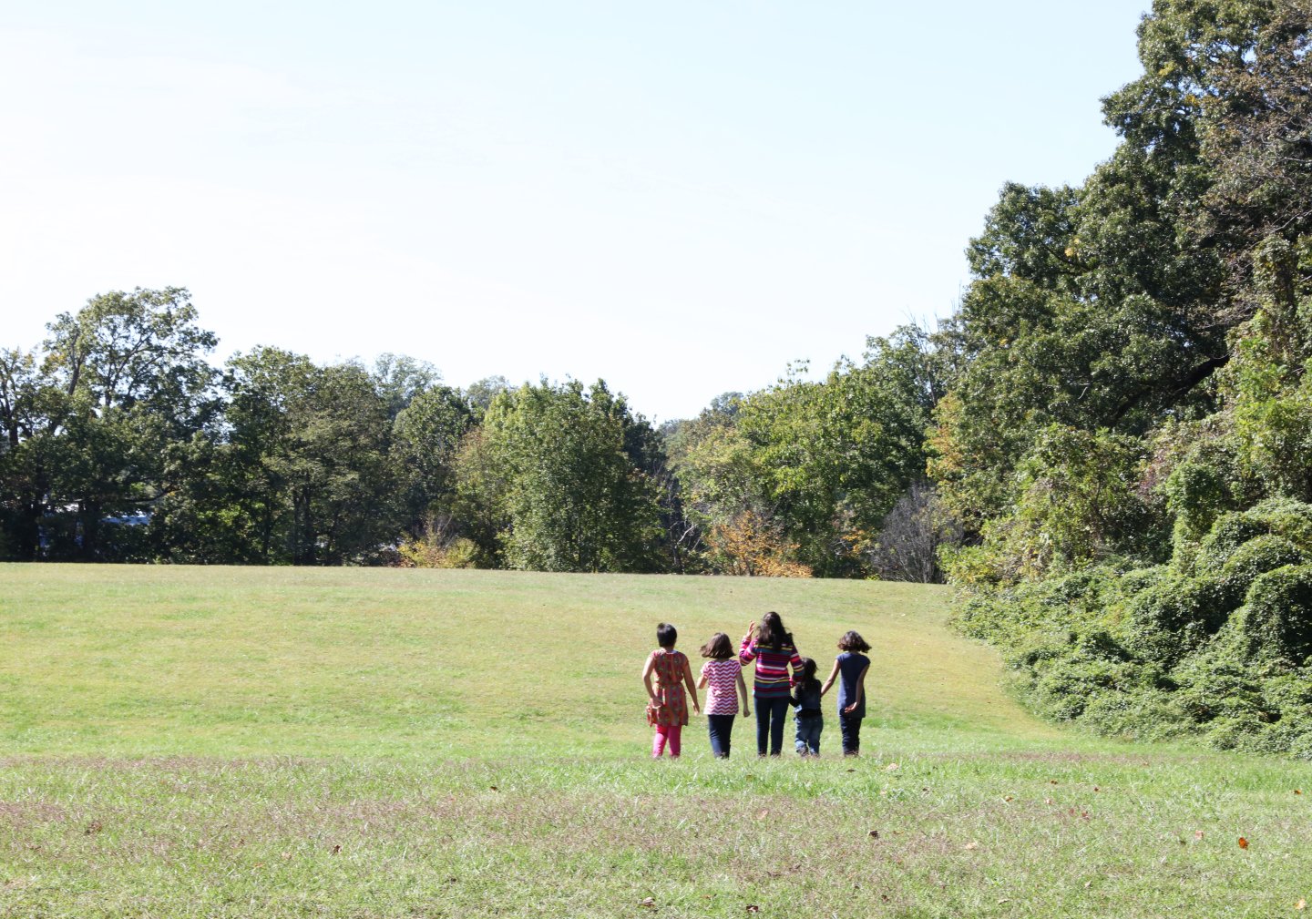 kids in field, occoquan regional park
