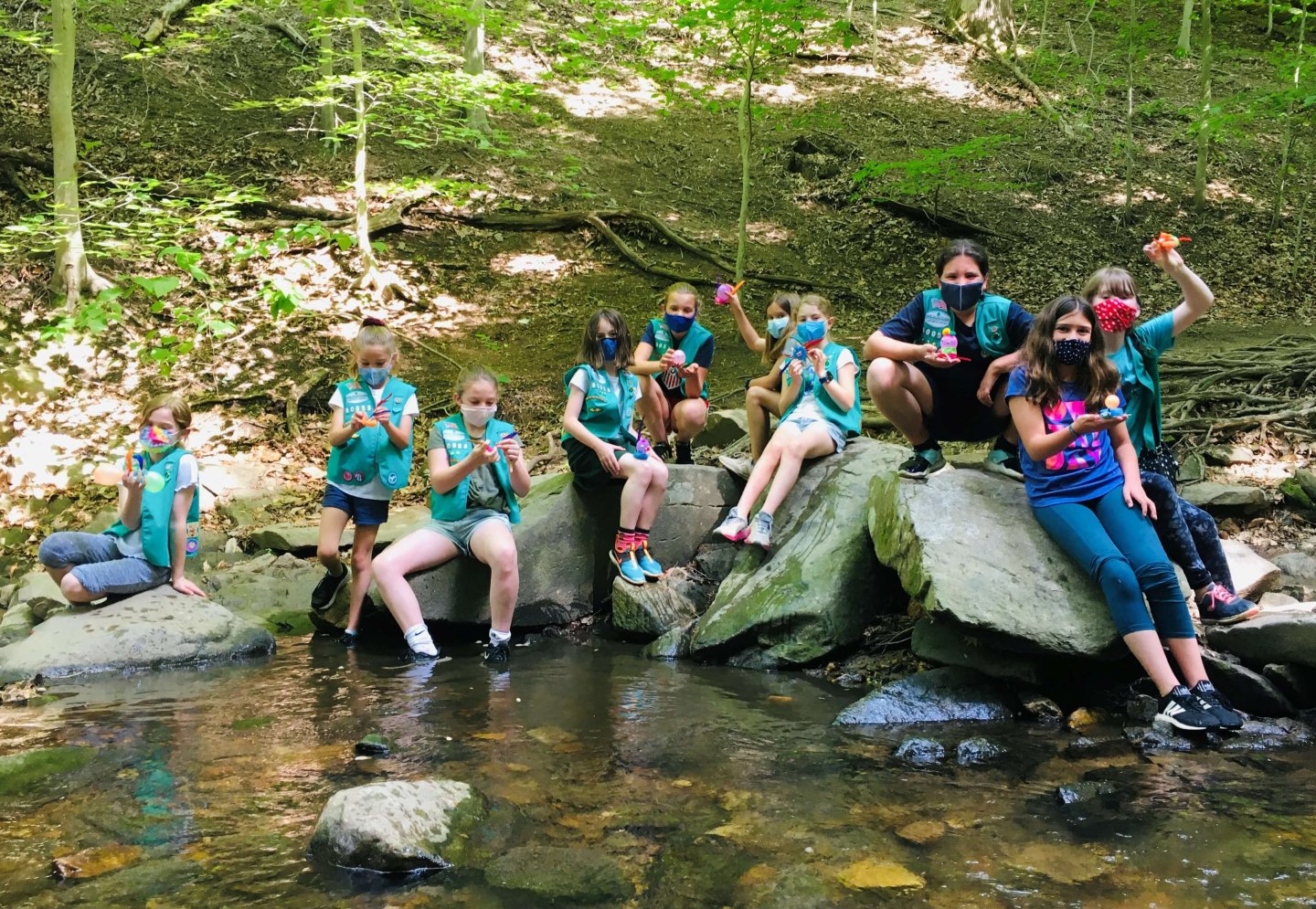 Girl Scout Main Page Header Image