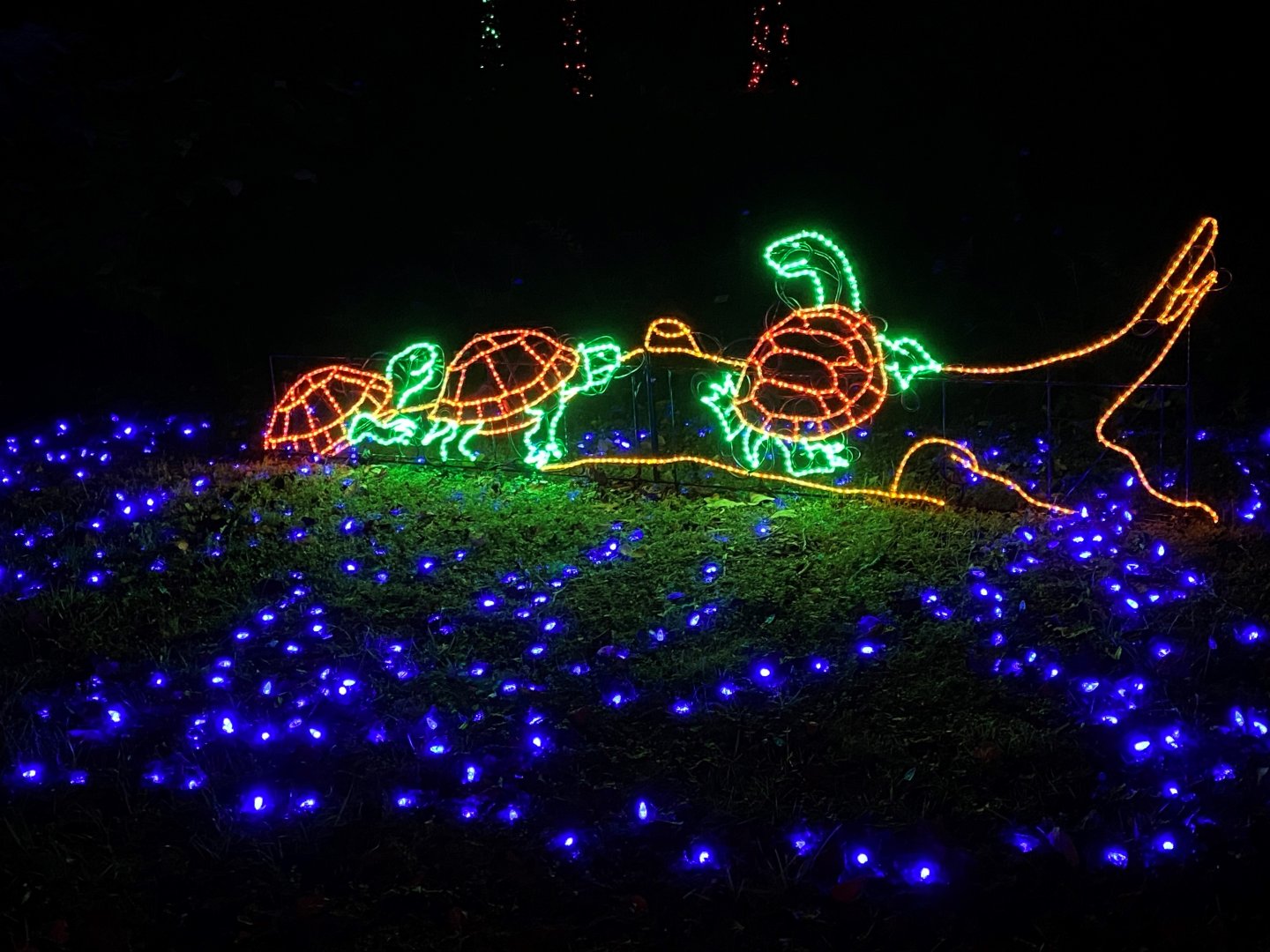 three turtles on a log light display
