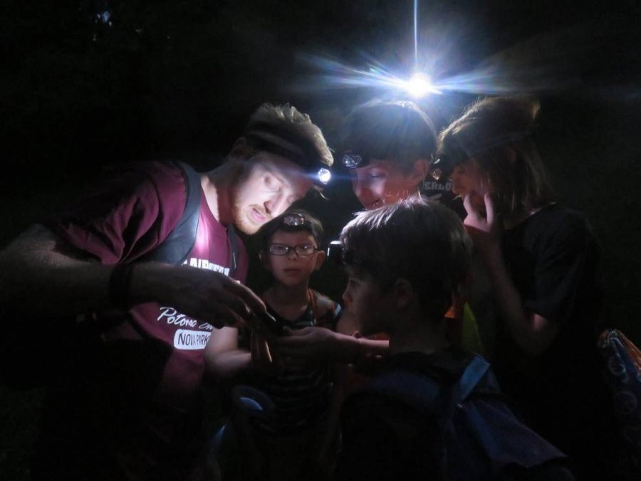 NIGHT HIKE AND CAMPFIRE:NOCTURNAL WILDLIFE