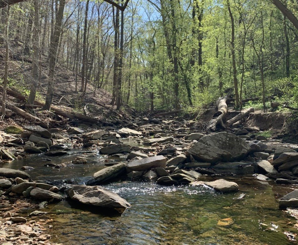 POTOMAC HIKE