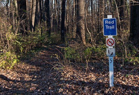 Upton Hill Trail
