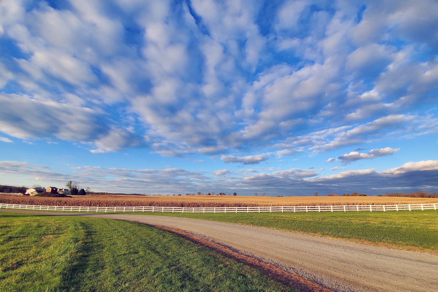Temple Hall Farm, blue sky, fields