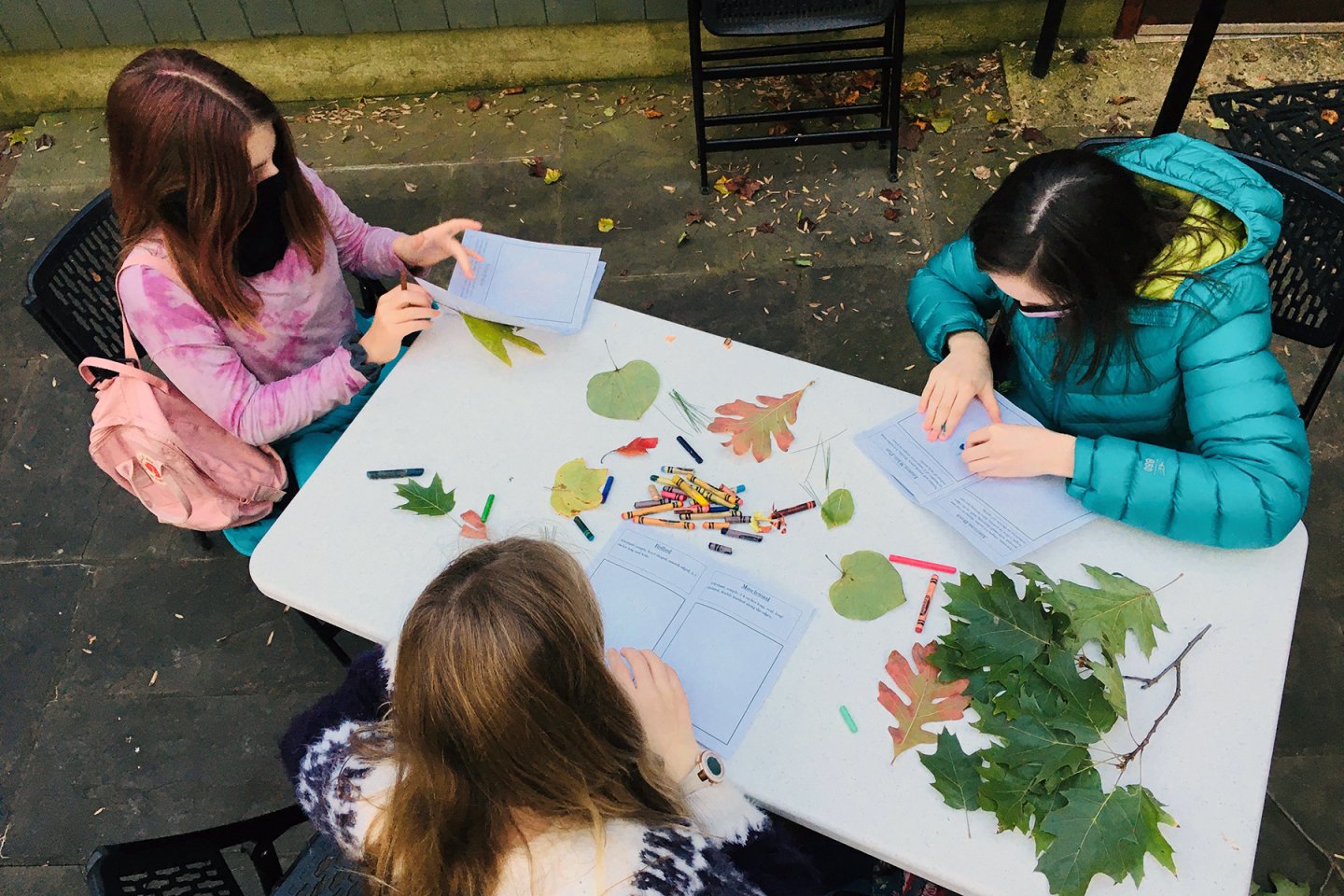 Girls drawing leaves 