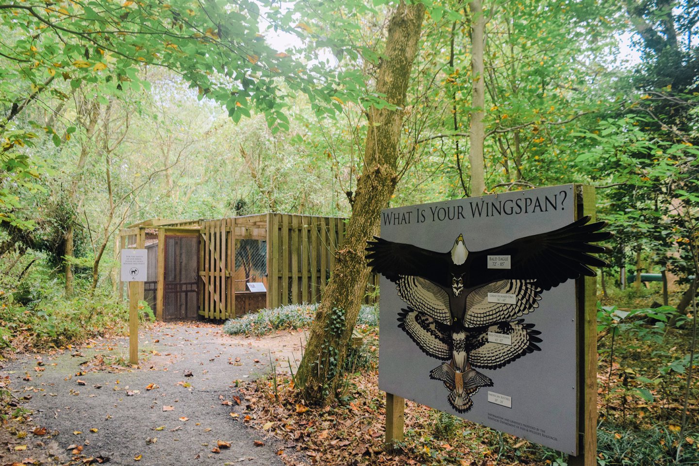 wingspan sign
