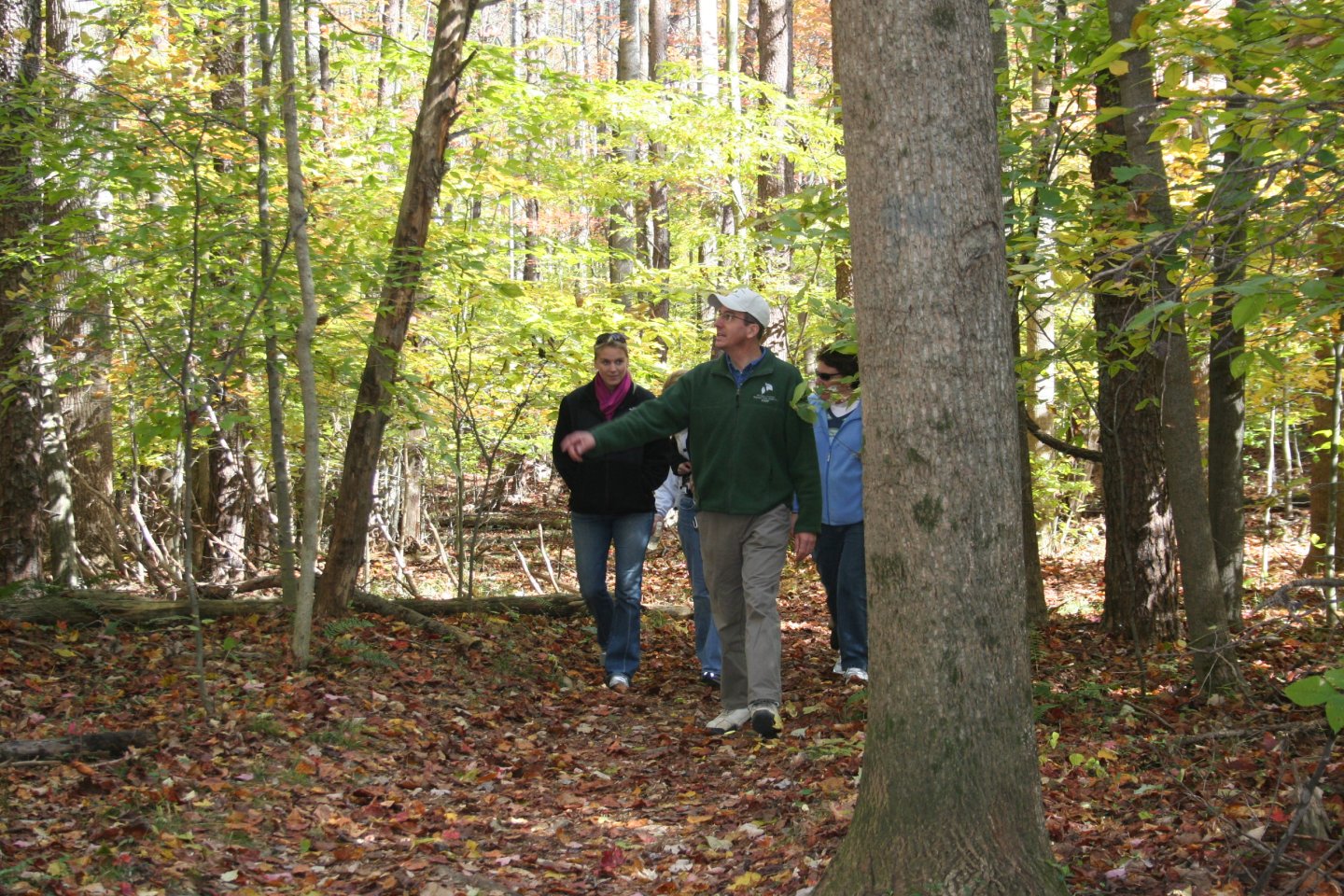 Bull Run Occoquan Trail