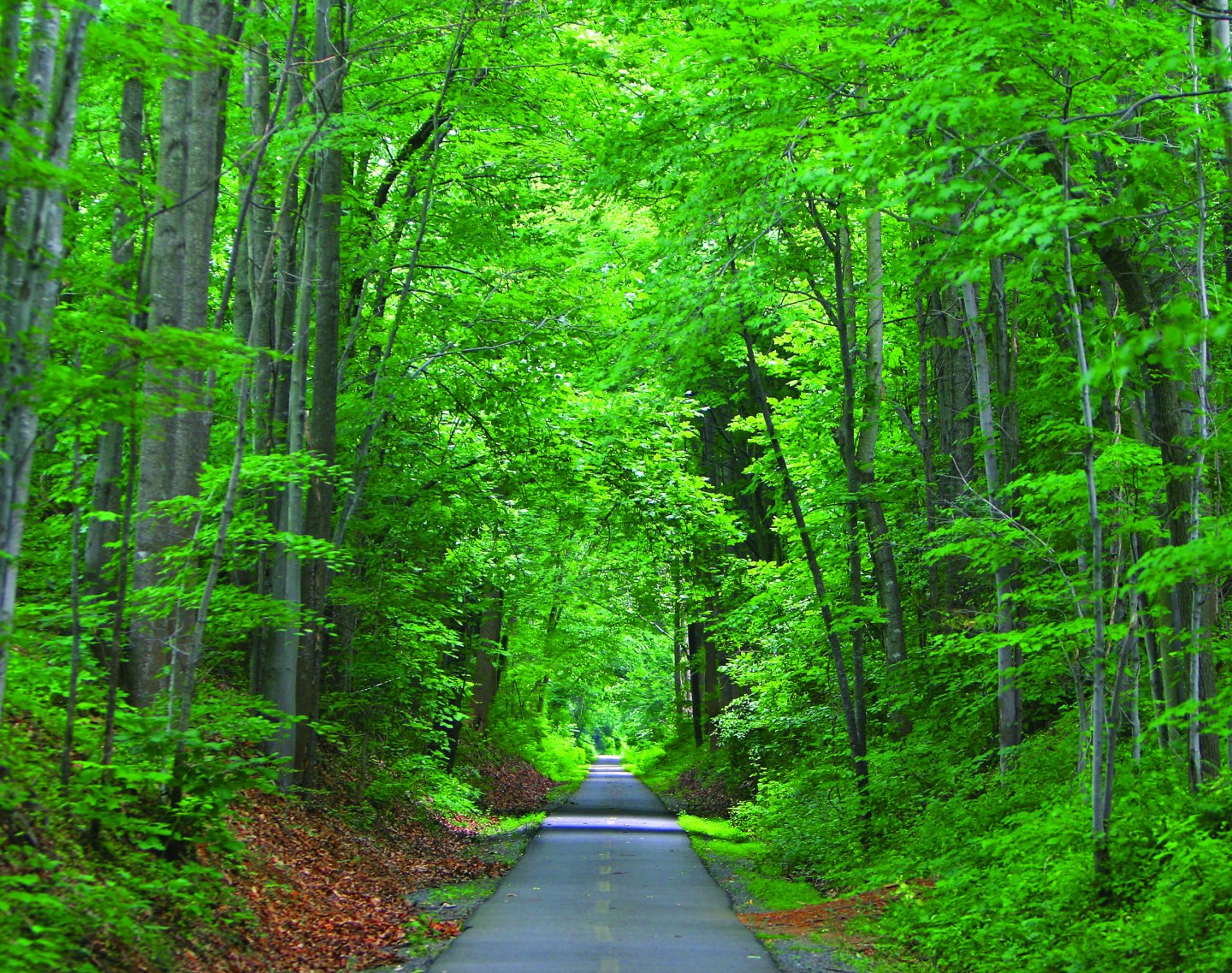 Spears Green Image
