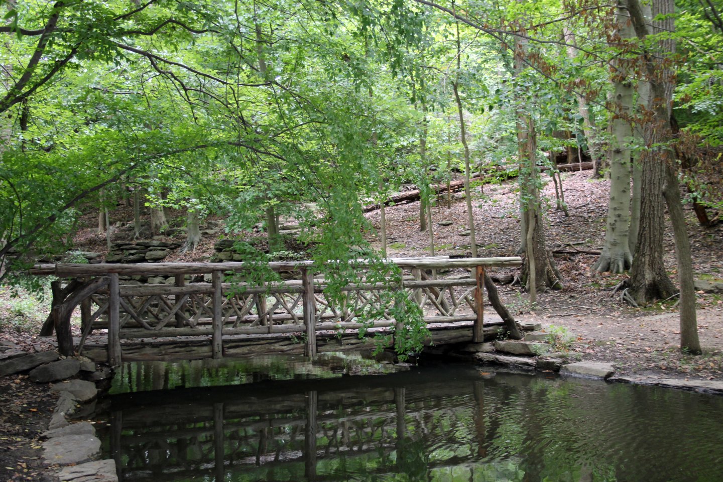 Winkler Botanical Preserve Bridge