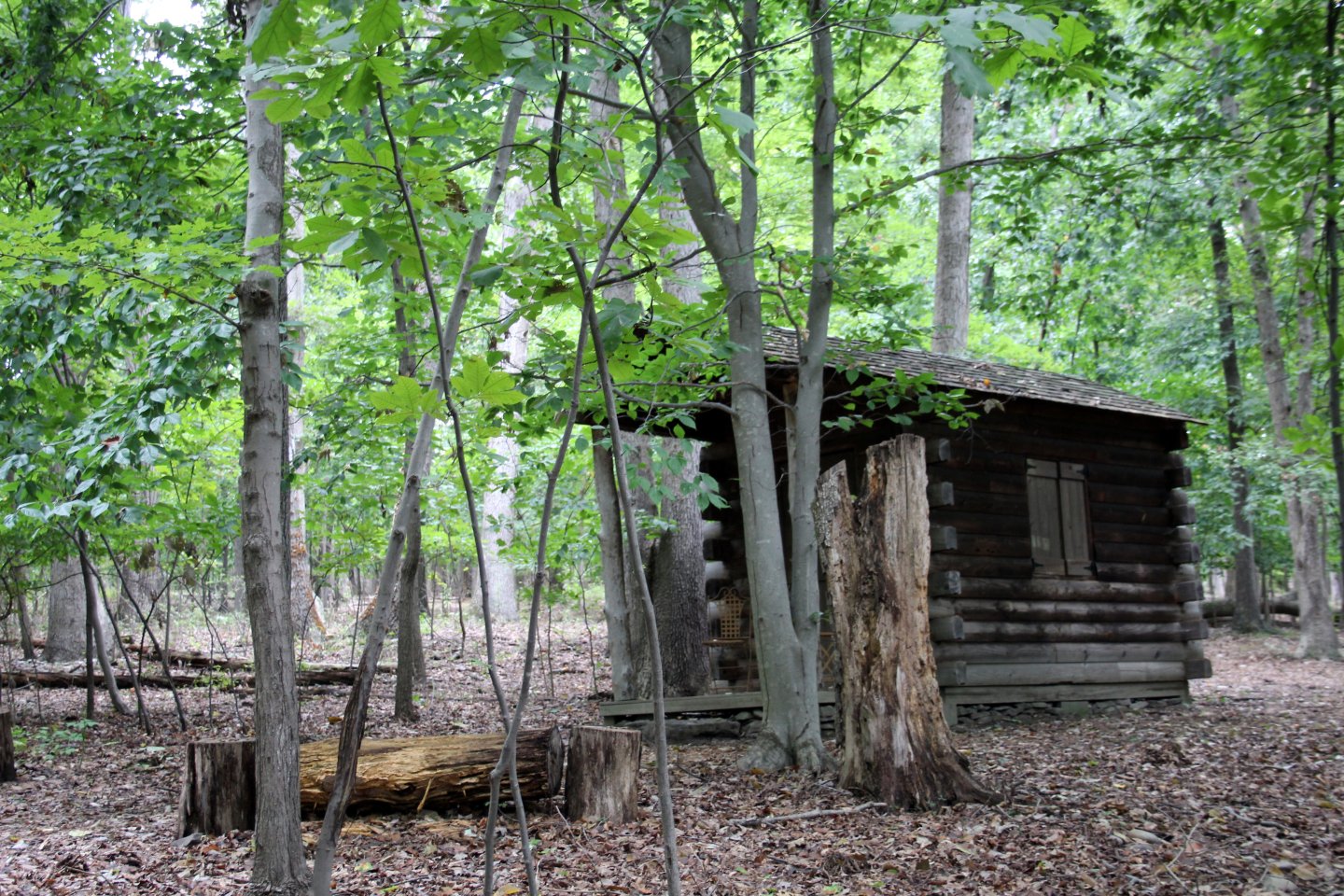 Winkler Botanical Preserve log cabin