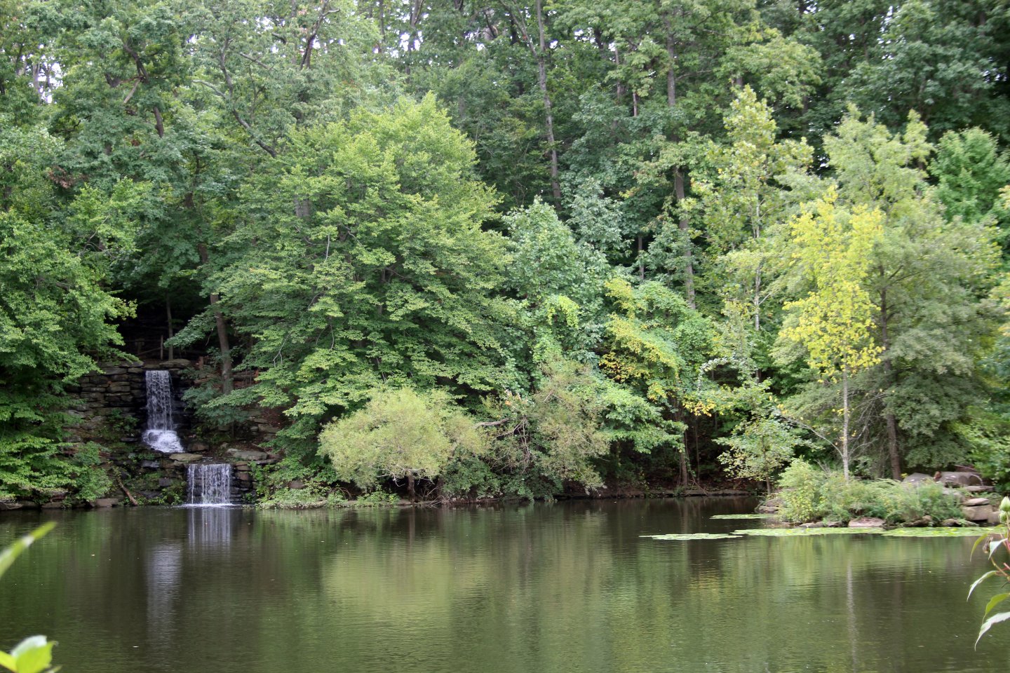 Winkler Botanical Preserve waterfall and pond