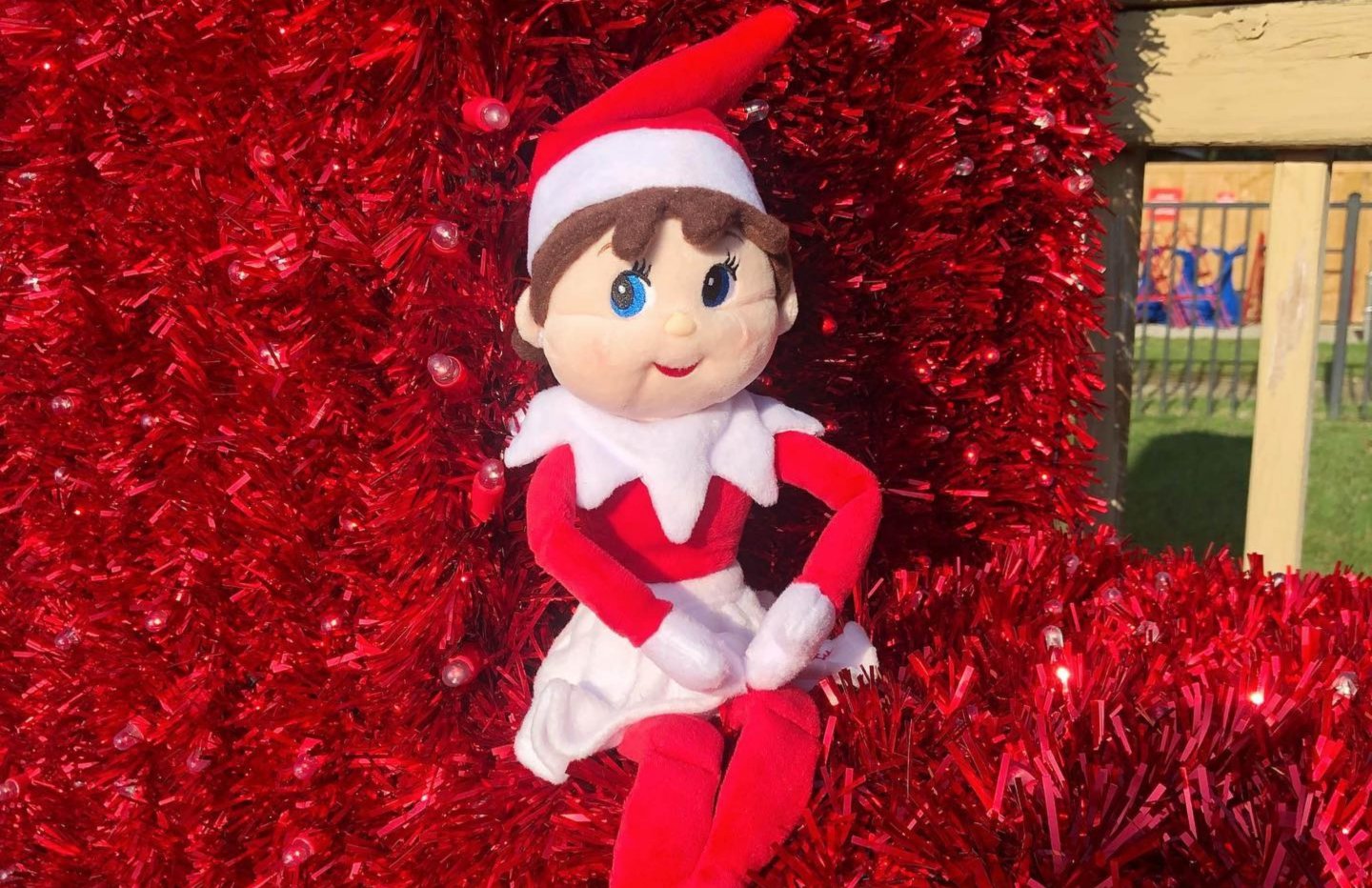 Freddy sitting on red sparkles