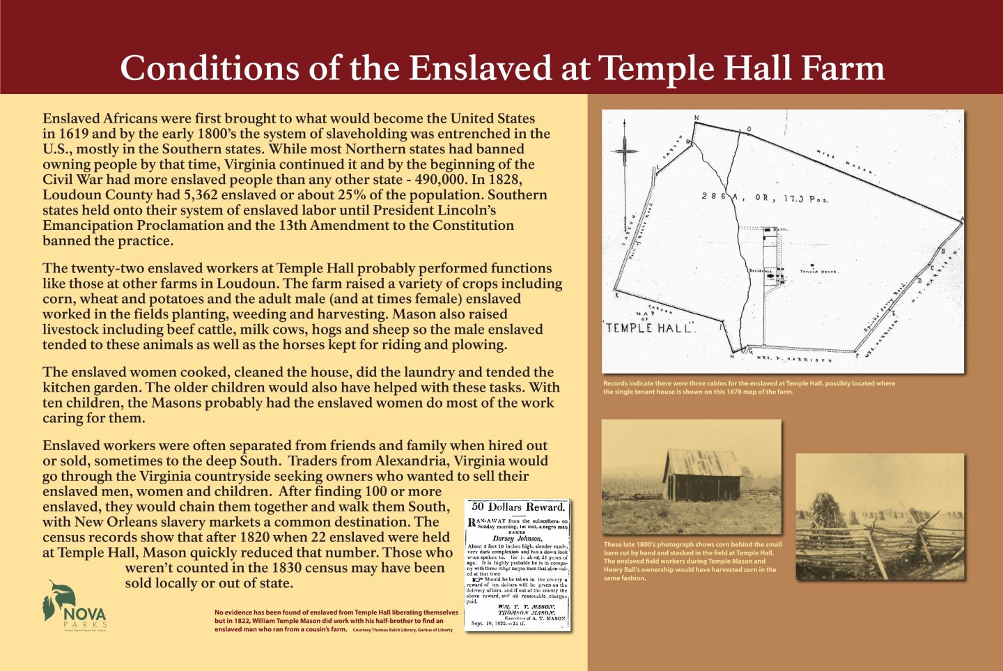 Conditions of the Enslaved at Temple Hall Farm