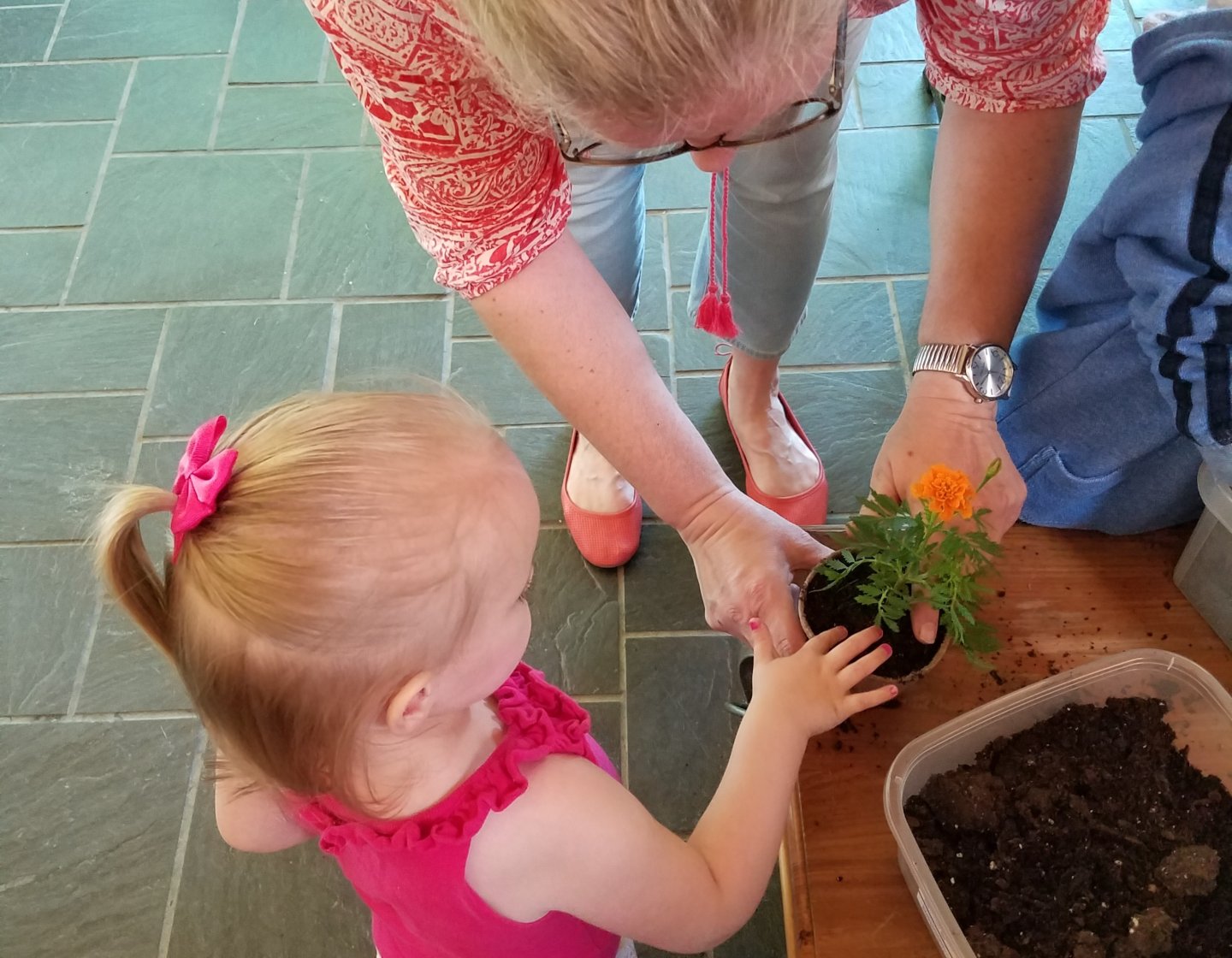preschool planting a flower