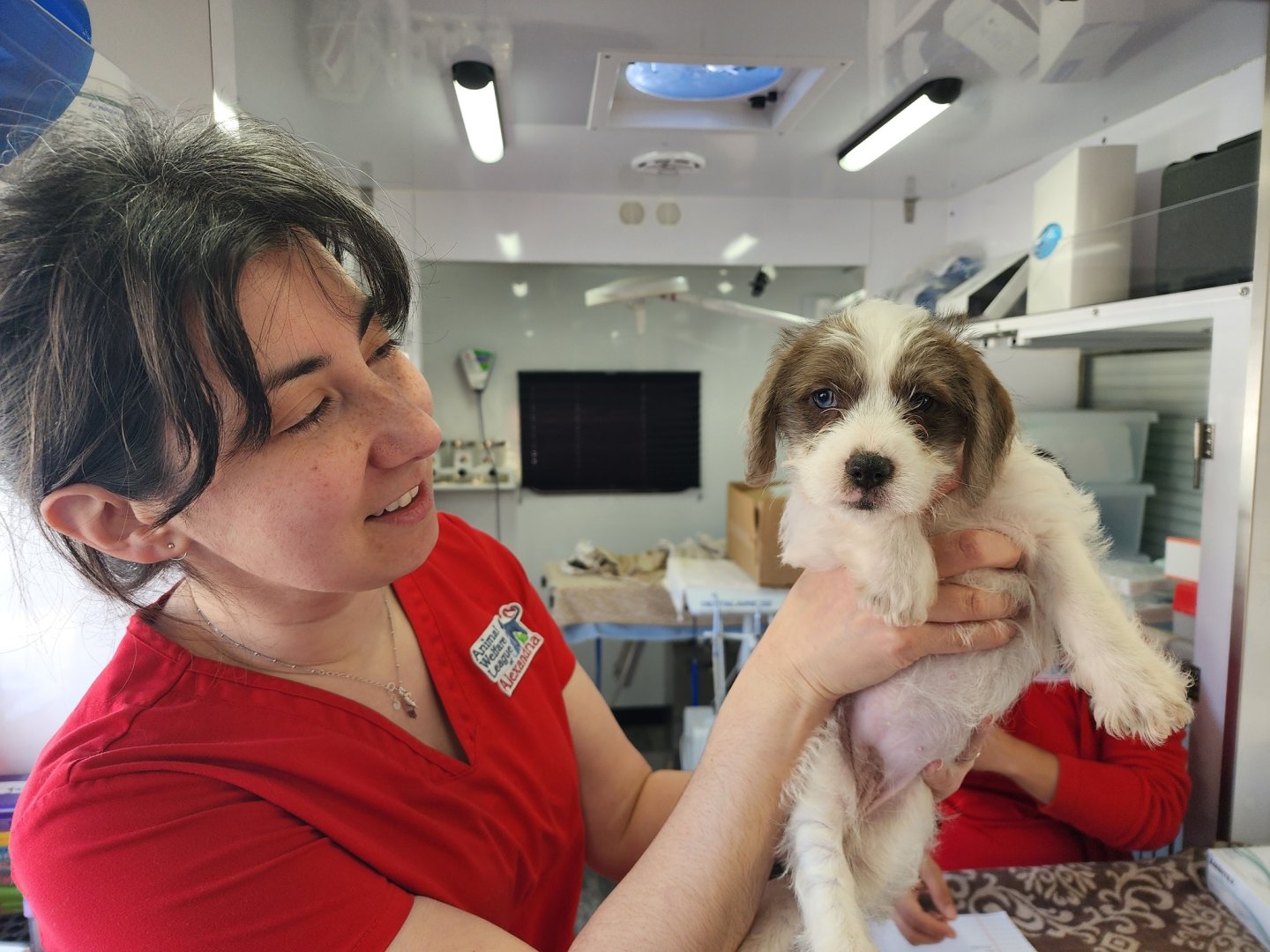 Animal Welfare League of Alexandria
