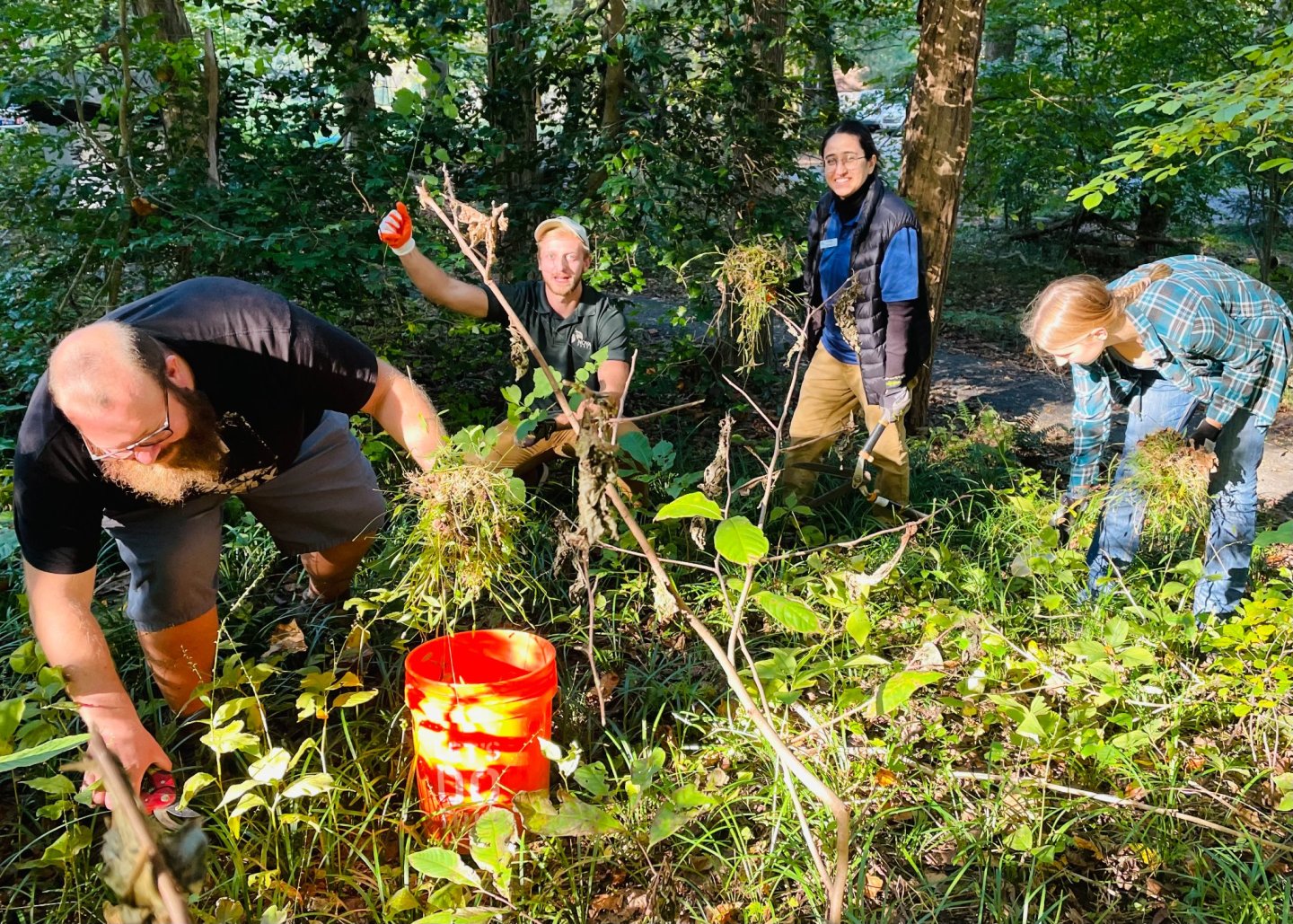 VOLUNTEER SERVICE DAY