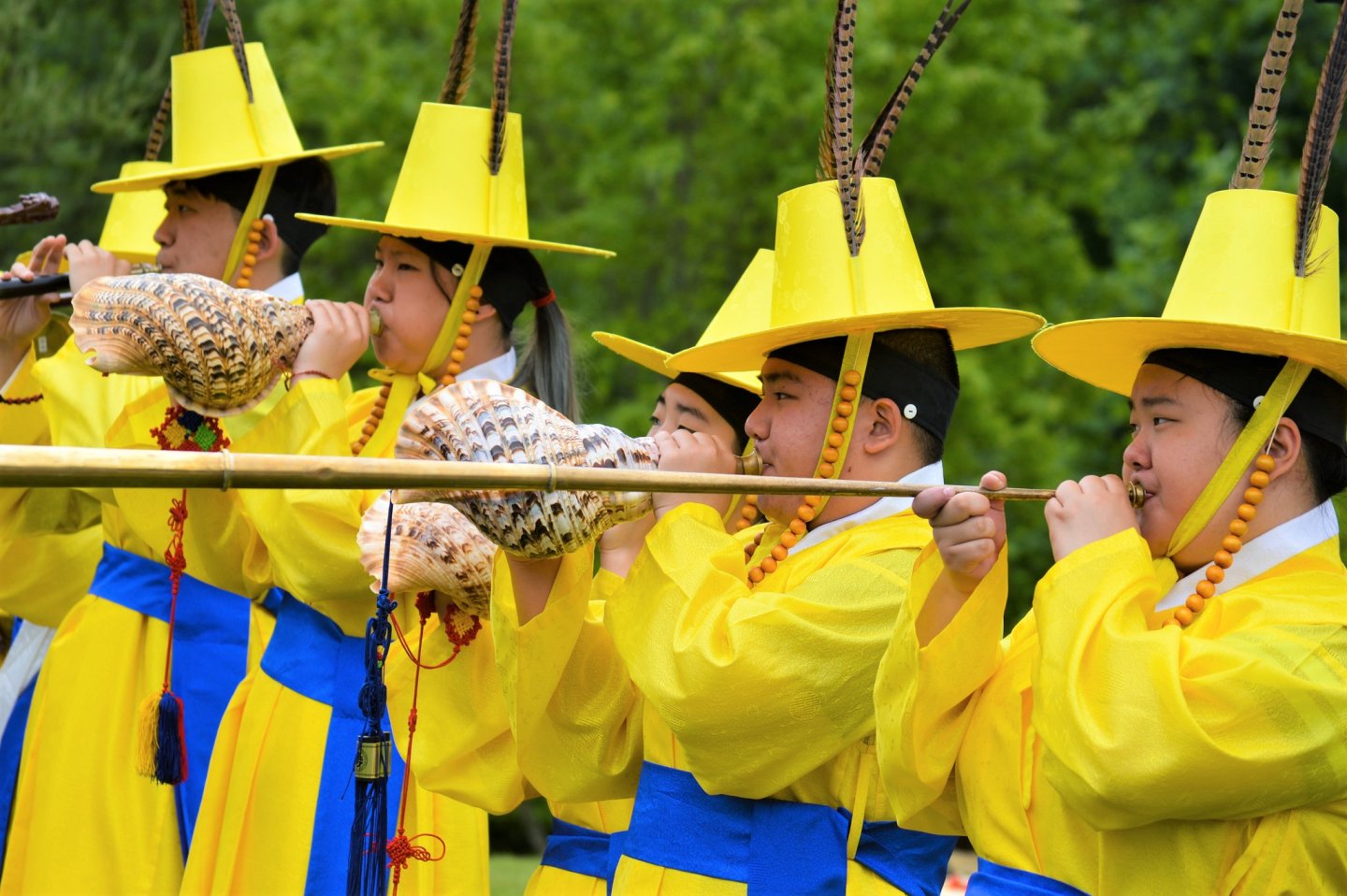 Traditional Korean Musicians