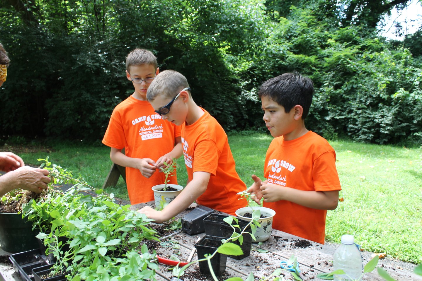Boys creating a take home herb garden