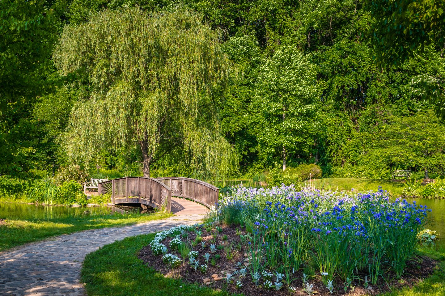 Meadowlark Botanical Gardens flowers in front weeping willow in back