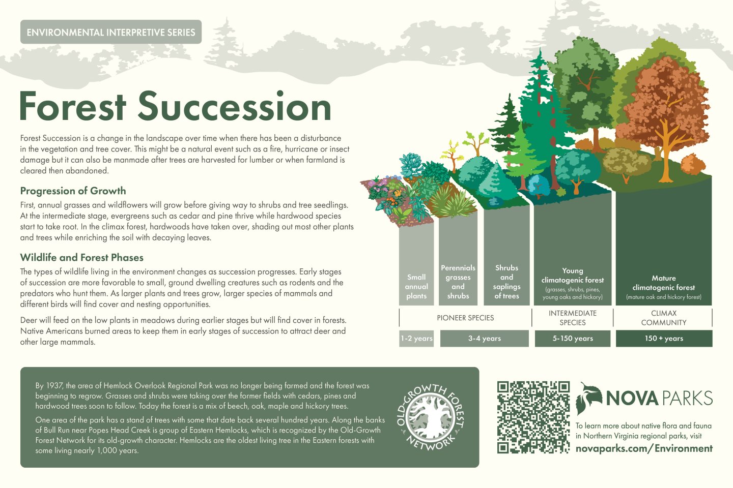 Forest Succession Interpretive Sign