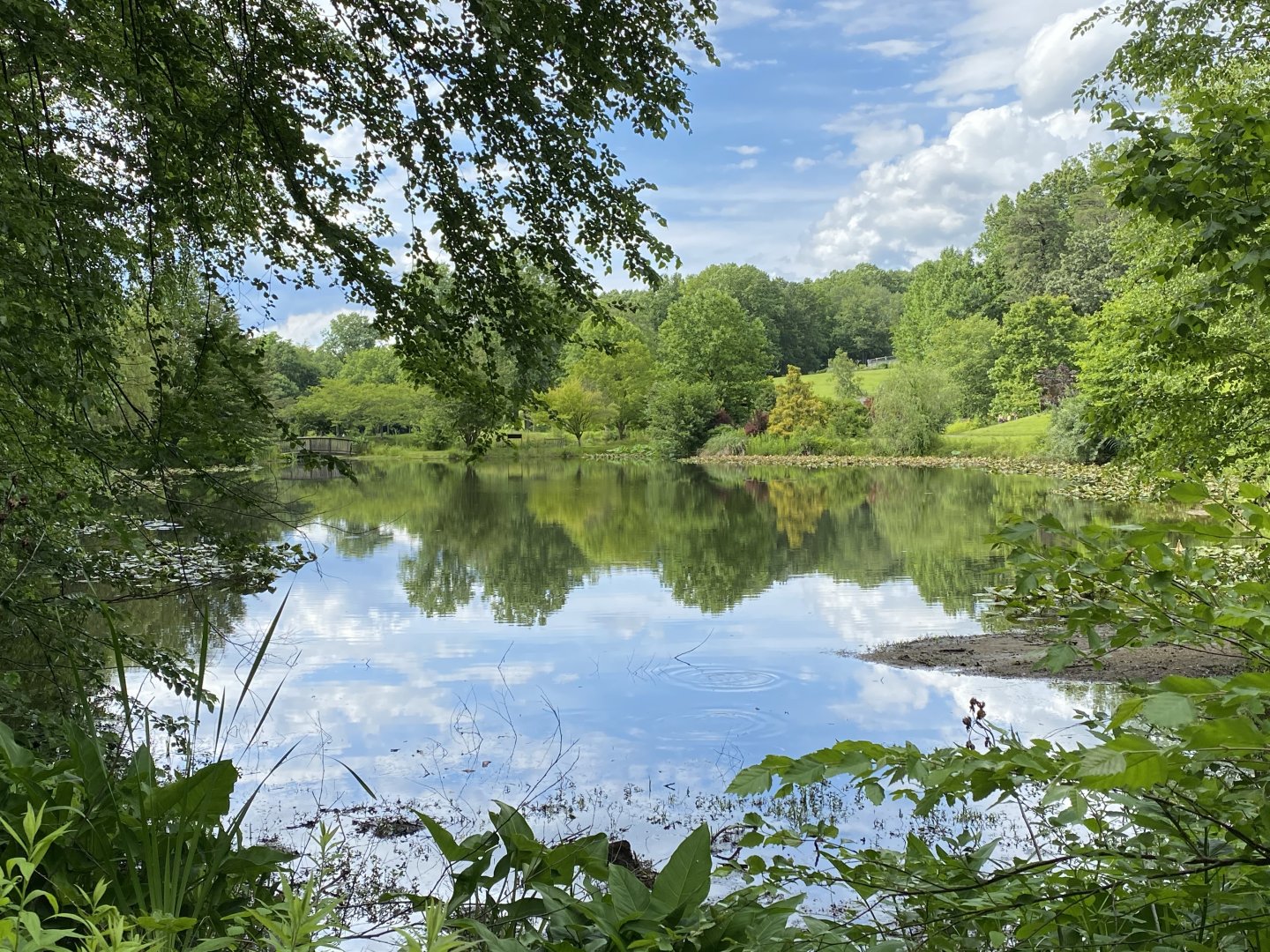 Lake Gardiner