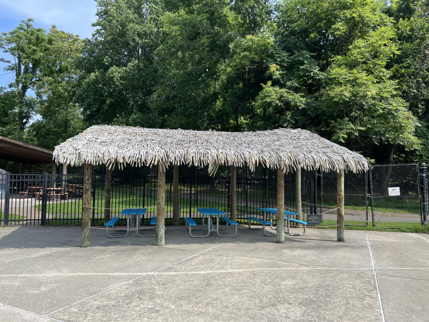 Coconut Cove Birthday Area