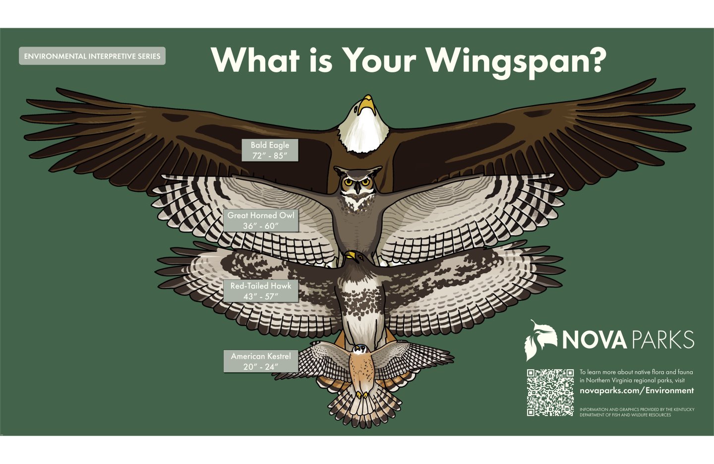 What's Your Wingspan sign with birds of prey