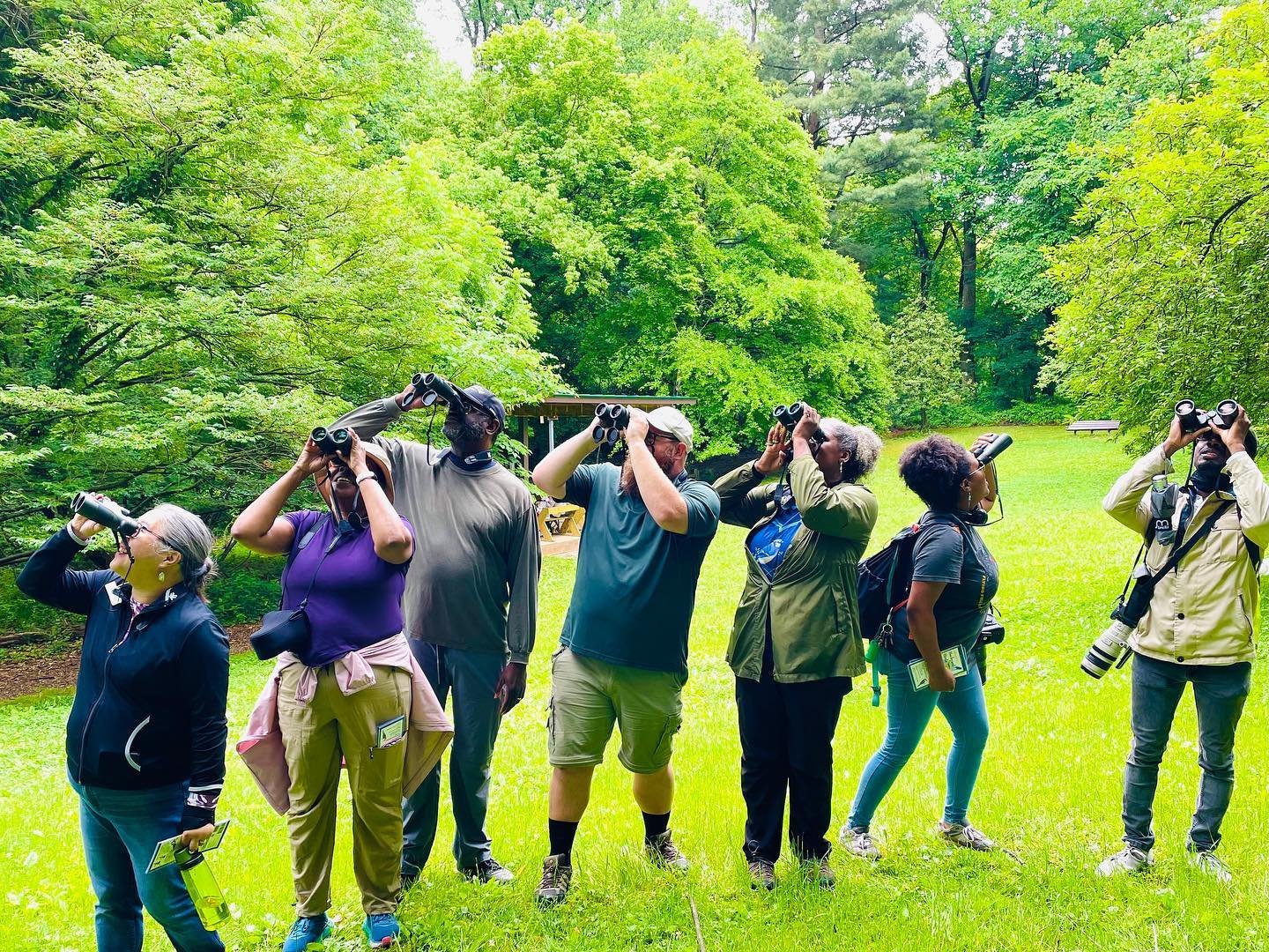 Group of adults standing in a field looking through binoculars