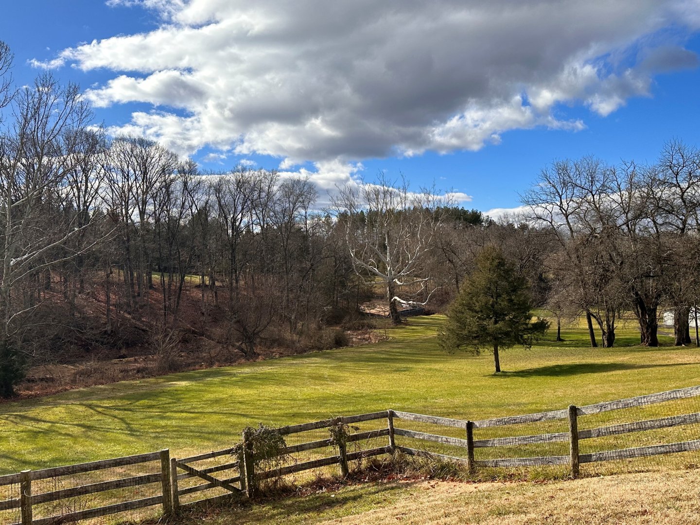 Cattail Property
