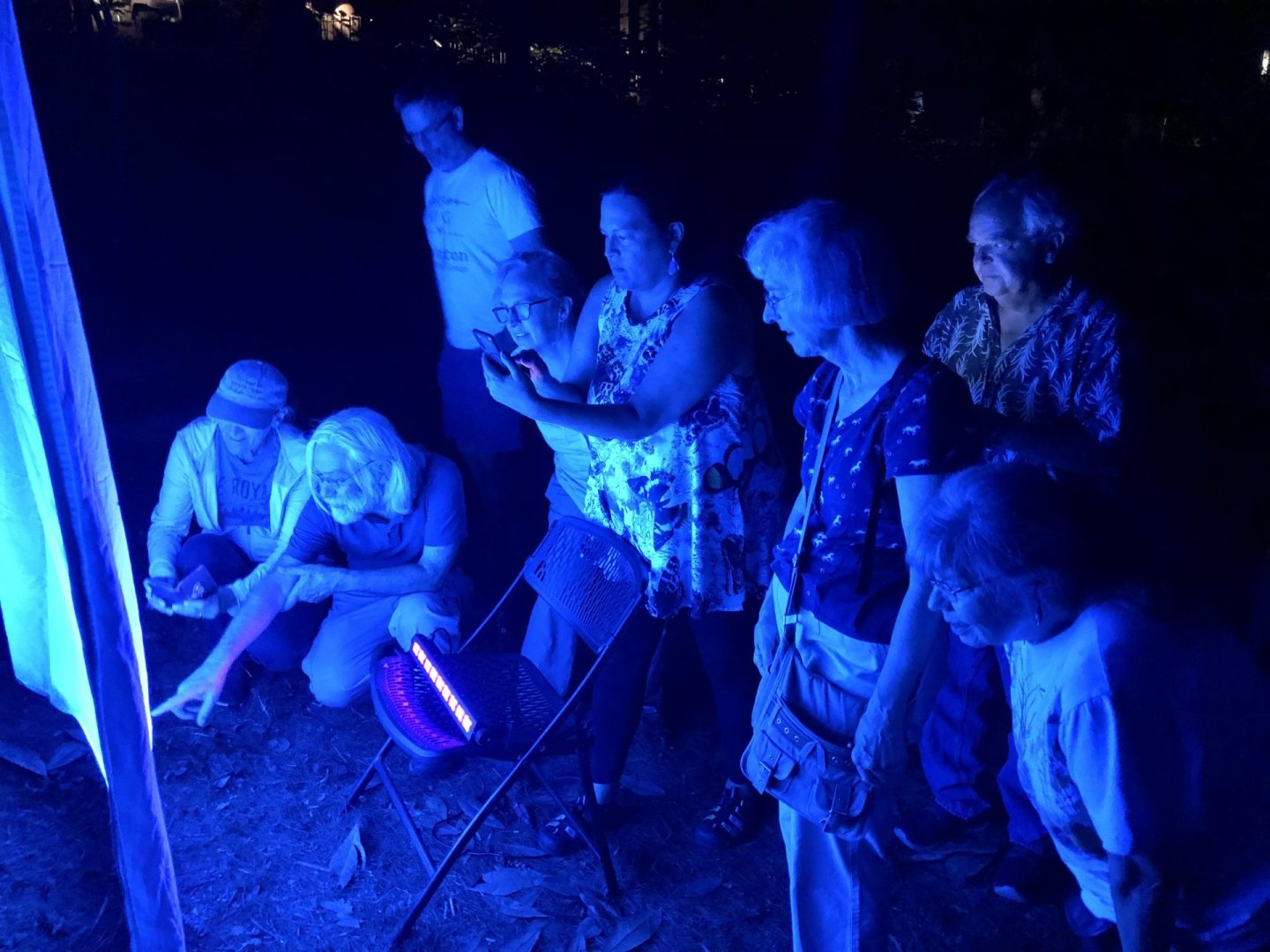 a group of adults in the woods at night looking at a sign. the group is lit by a blue light