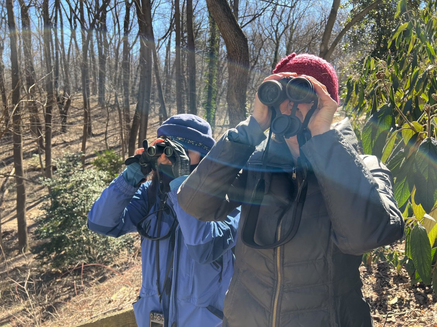 two people looking into binoculars in the woods