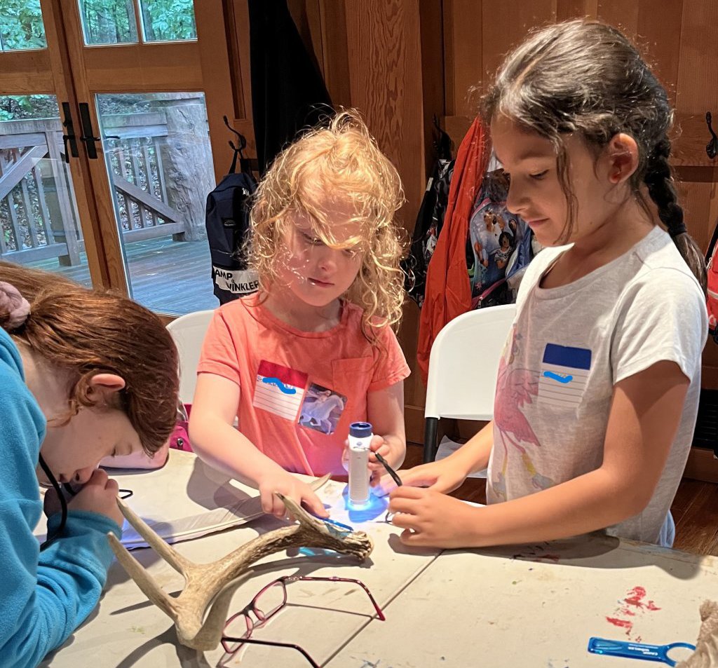 Three children observing antlers at Camp Winkler