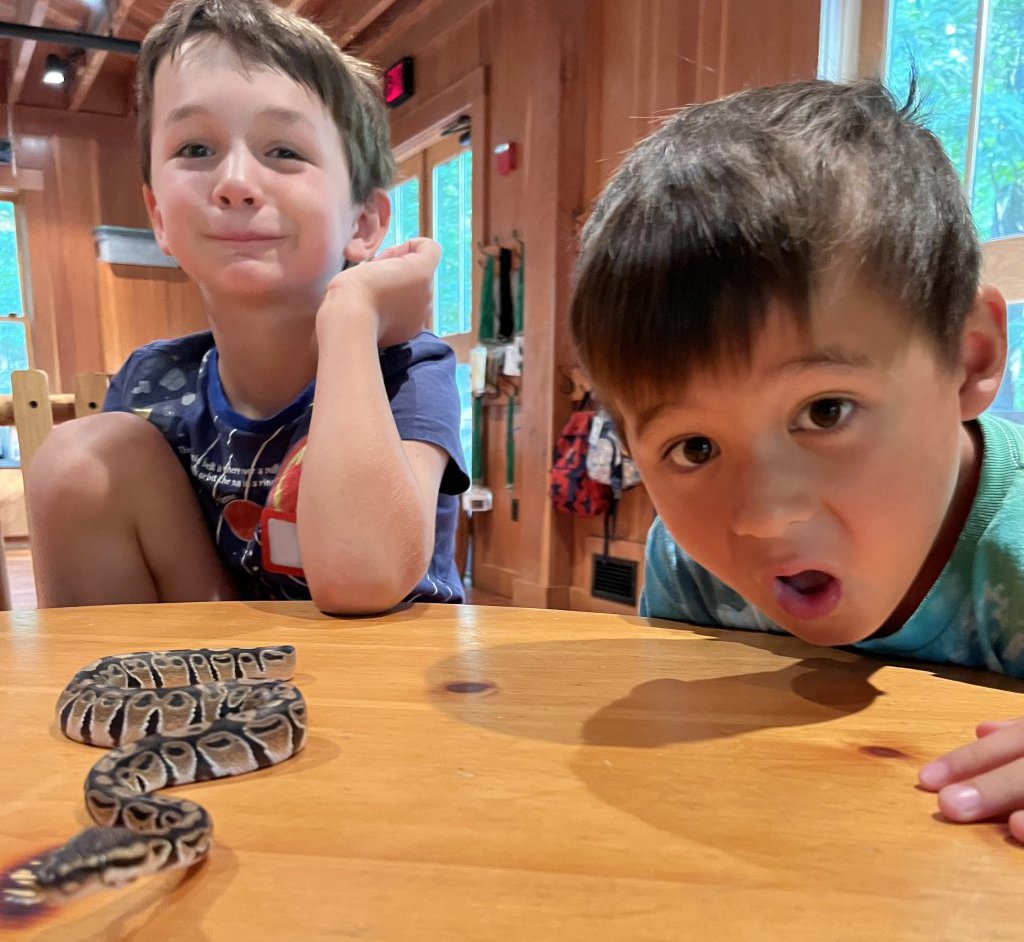 Two boys observing a snake at Camp Winkler