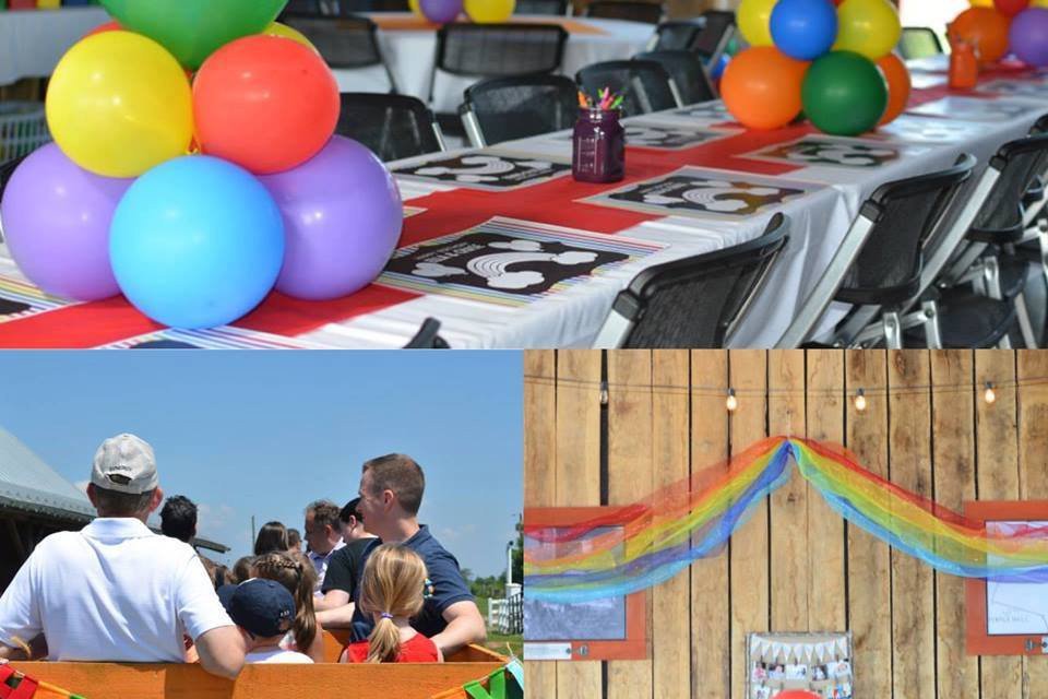 Collage of birthday party photos from Temple Hall Farm