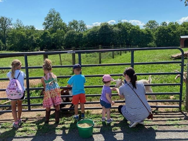 A group of children stand against a fence with their backs to the camera, while a woman inside the fence holds a goat