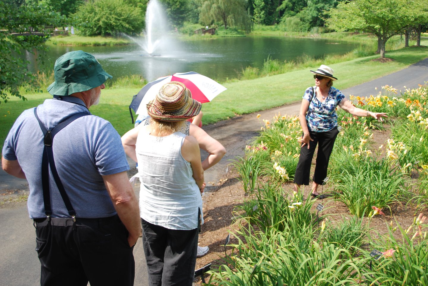 Janice Kennedy leads tour of Meadowlark's Daylily Collections