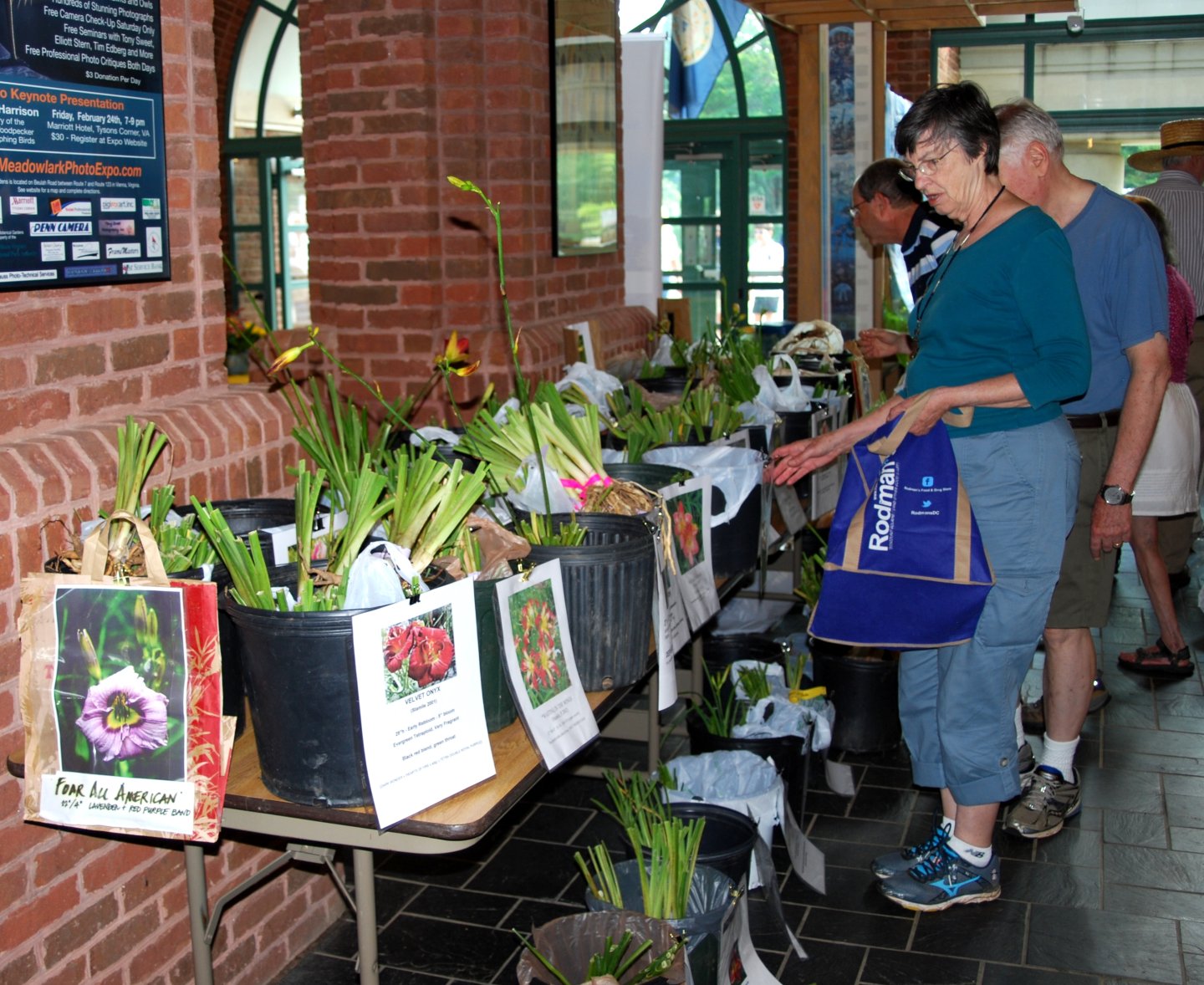 Patrons shopping at the daylily sale