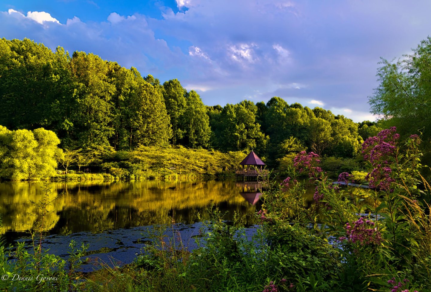Caroline Lake in the summertime