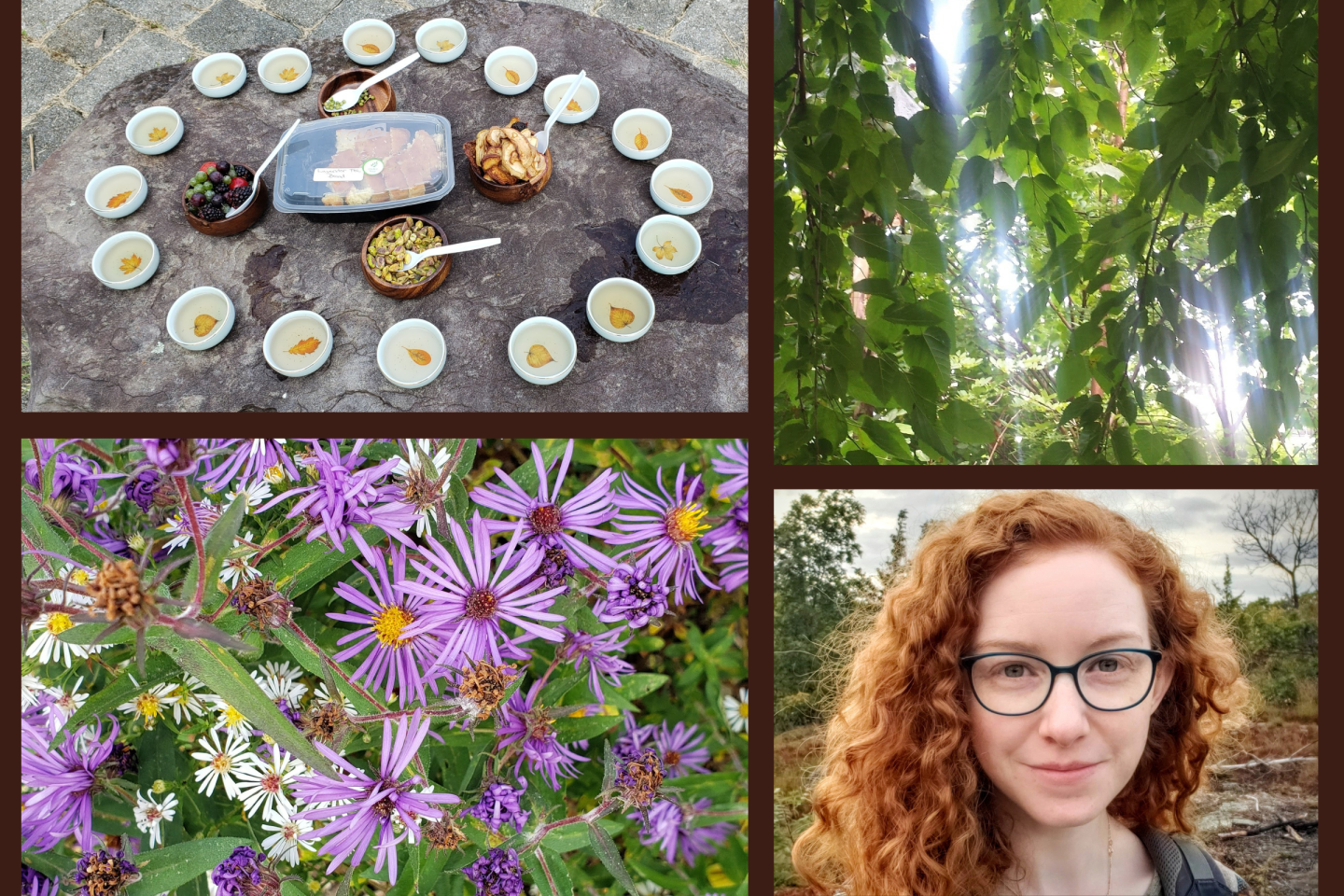 FOREST BATHING