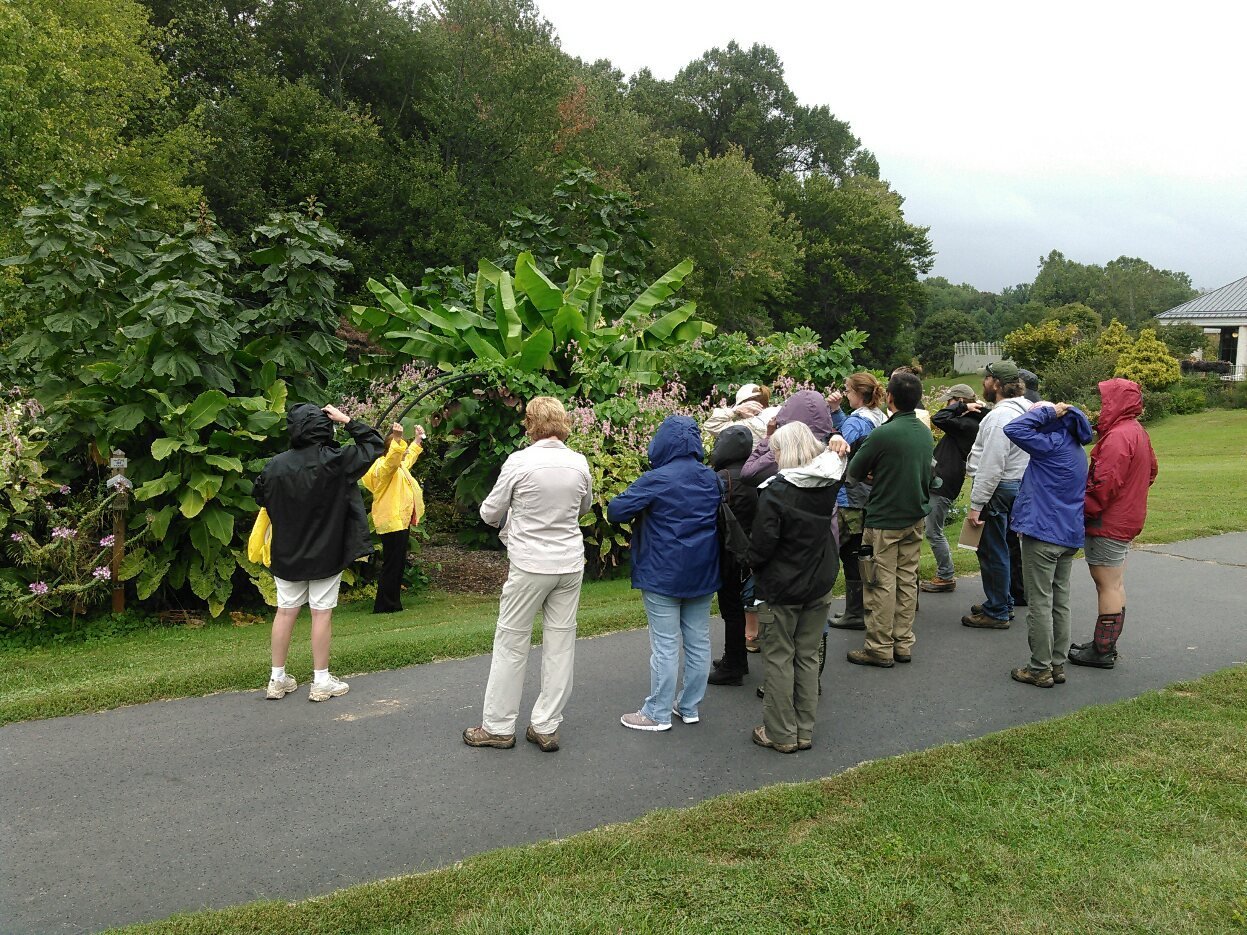 Interns at Meadowlark Botanical Gardens