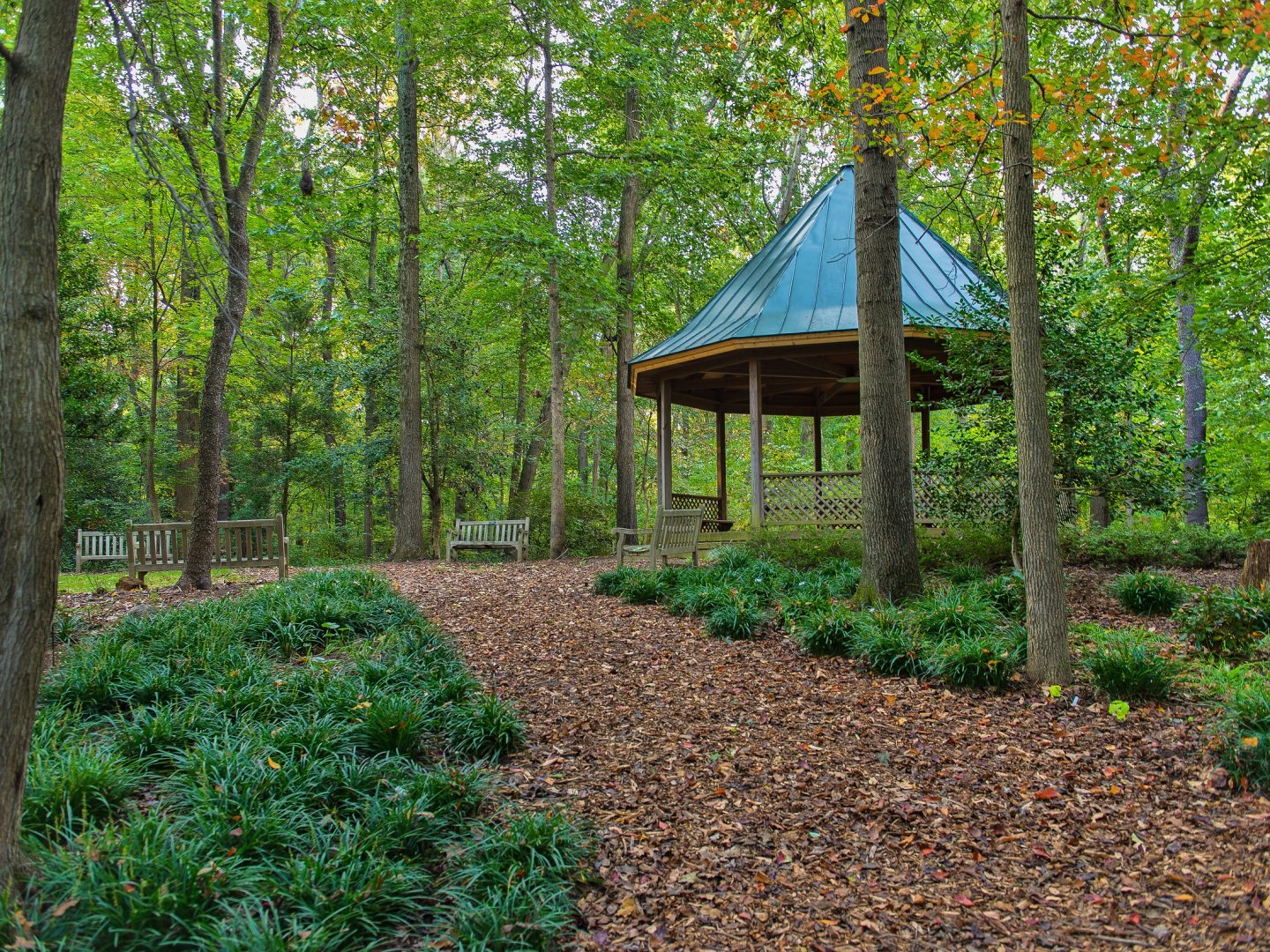 gazebo in a wooded garden with a mulch trail