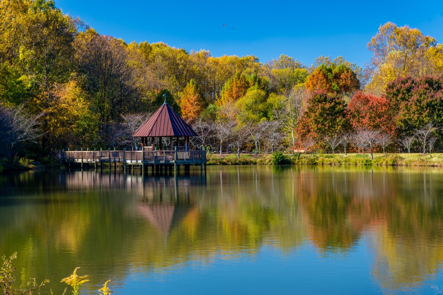 Lake Caroline with fall colors
