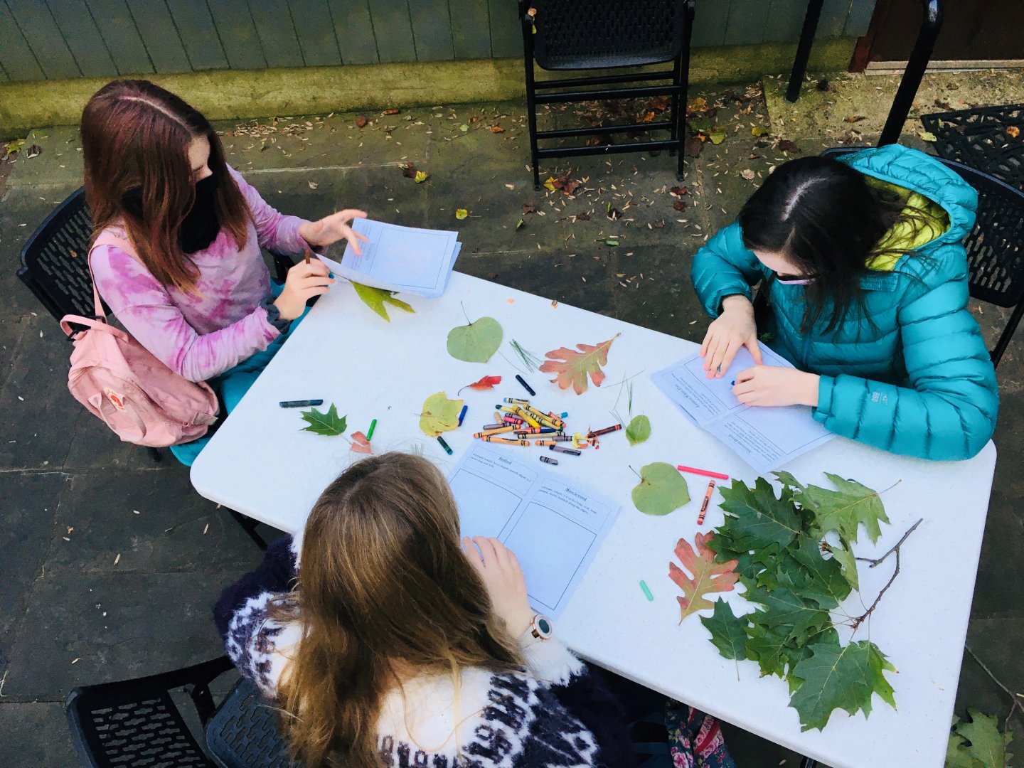 Three girls sitting at a folding table with the heads tilted downward drawing leaves