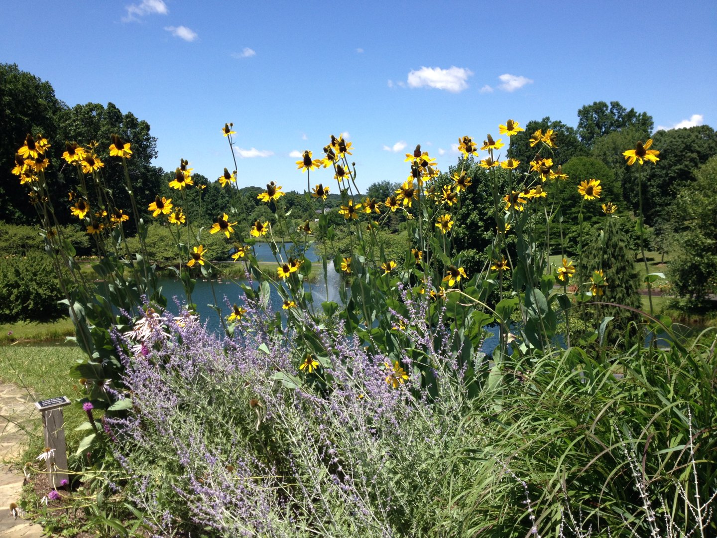 flowers at Spiral Mound Gazebo