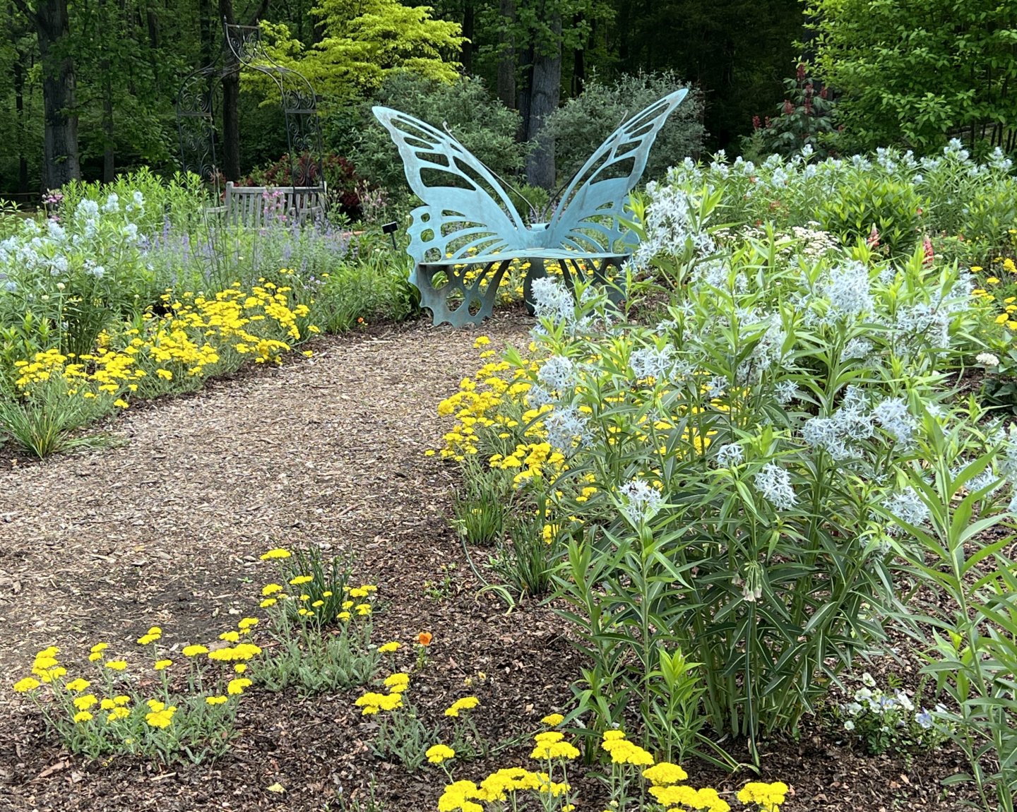 Butterfly garden at Meadowlark Botanical Gardens