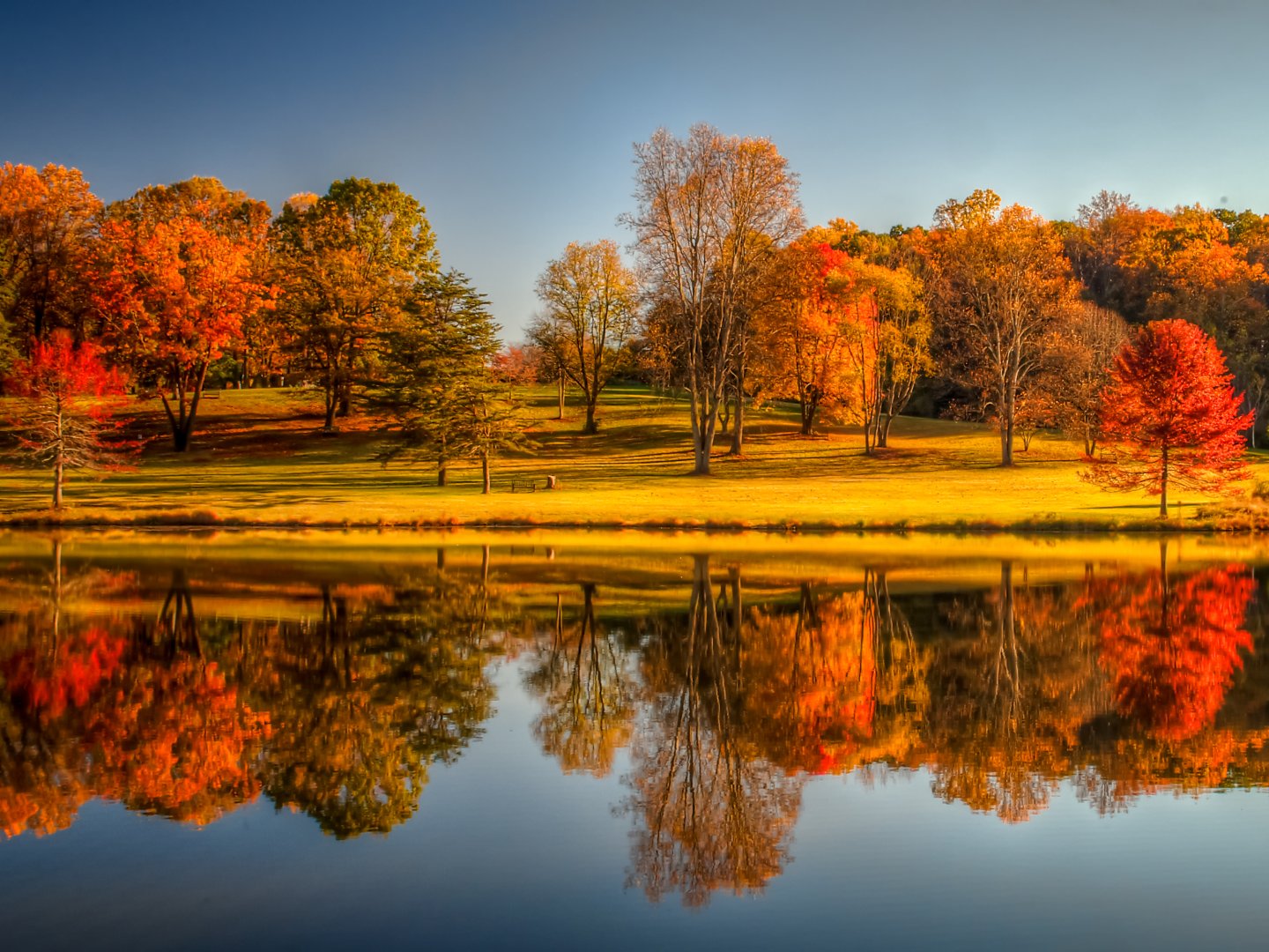 Great Lawn with Autumn Trees 2014 Tom Stovall