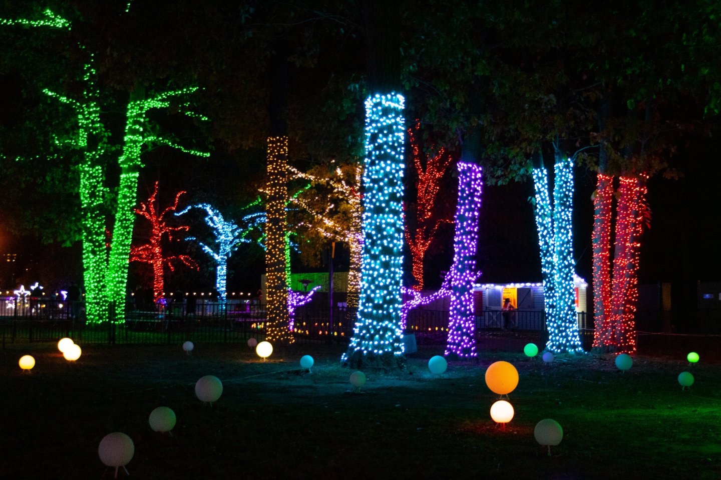 Ice and Lights Tree displays