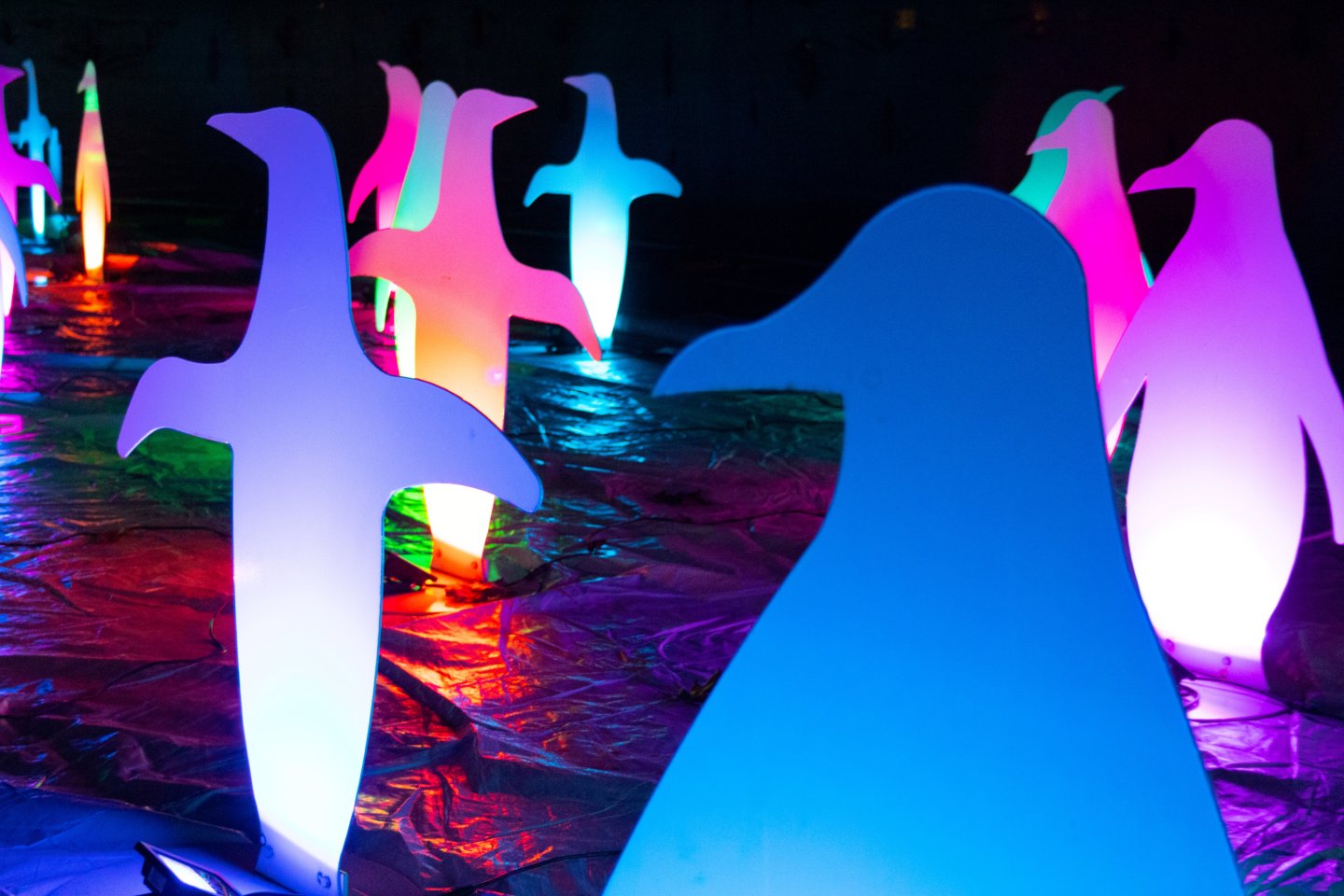 Ice and Lights Penguin light display
